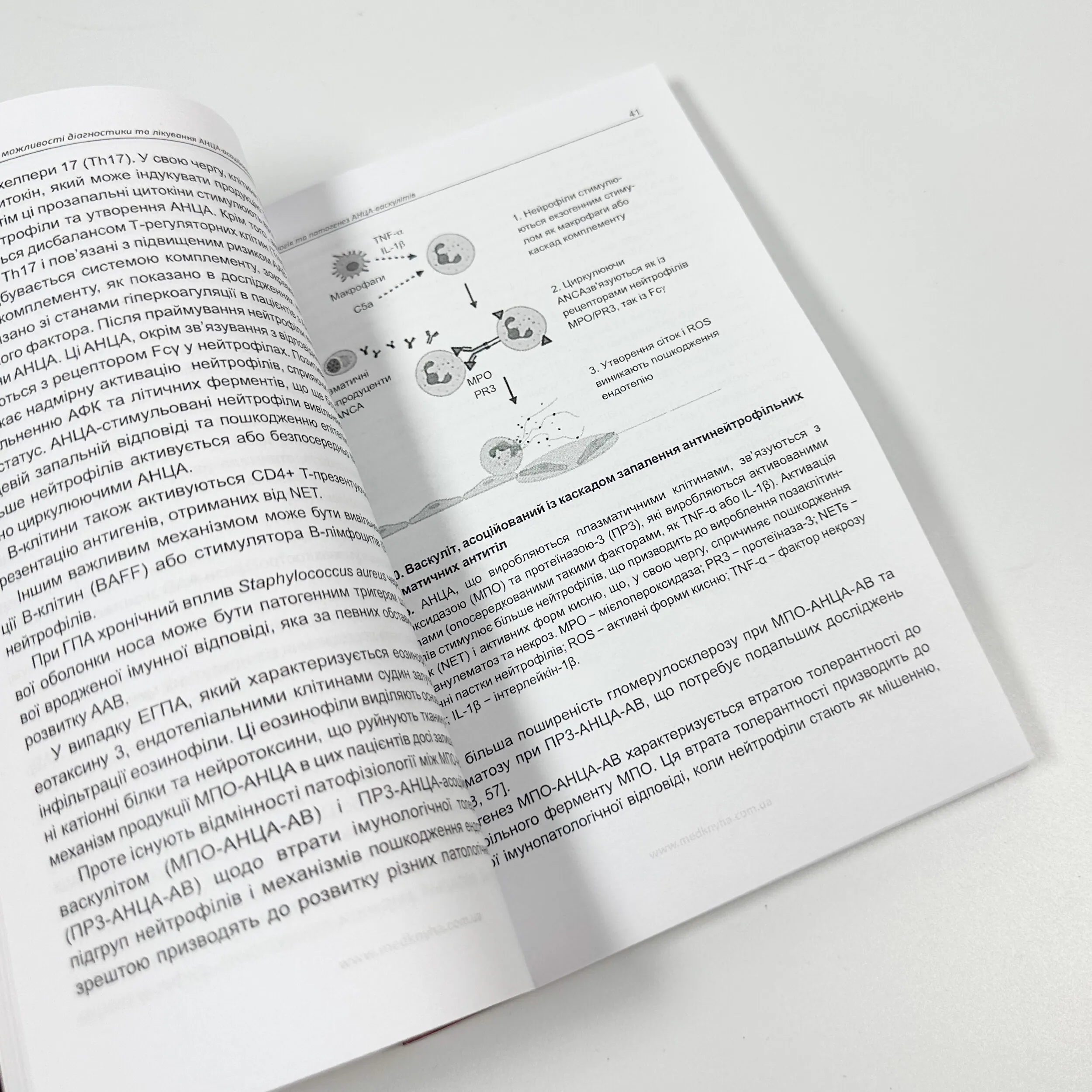 Сучасні можливості діагностики та лікування АНЦА-асоційованих васкулітів у клінічній практиці. Автор — Гуцаленко Л.В., Катеренчук І.П., Ткаченко Л.А., Ярмола Т.І.. 