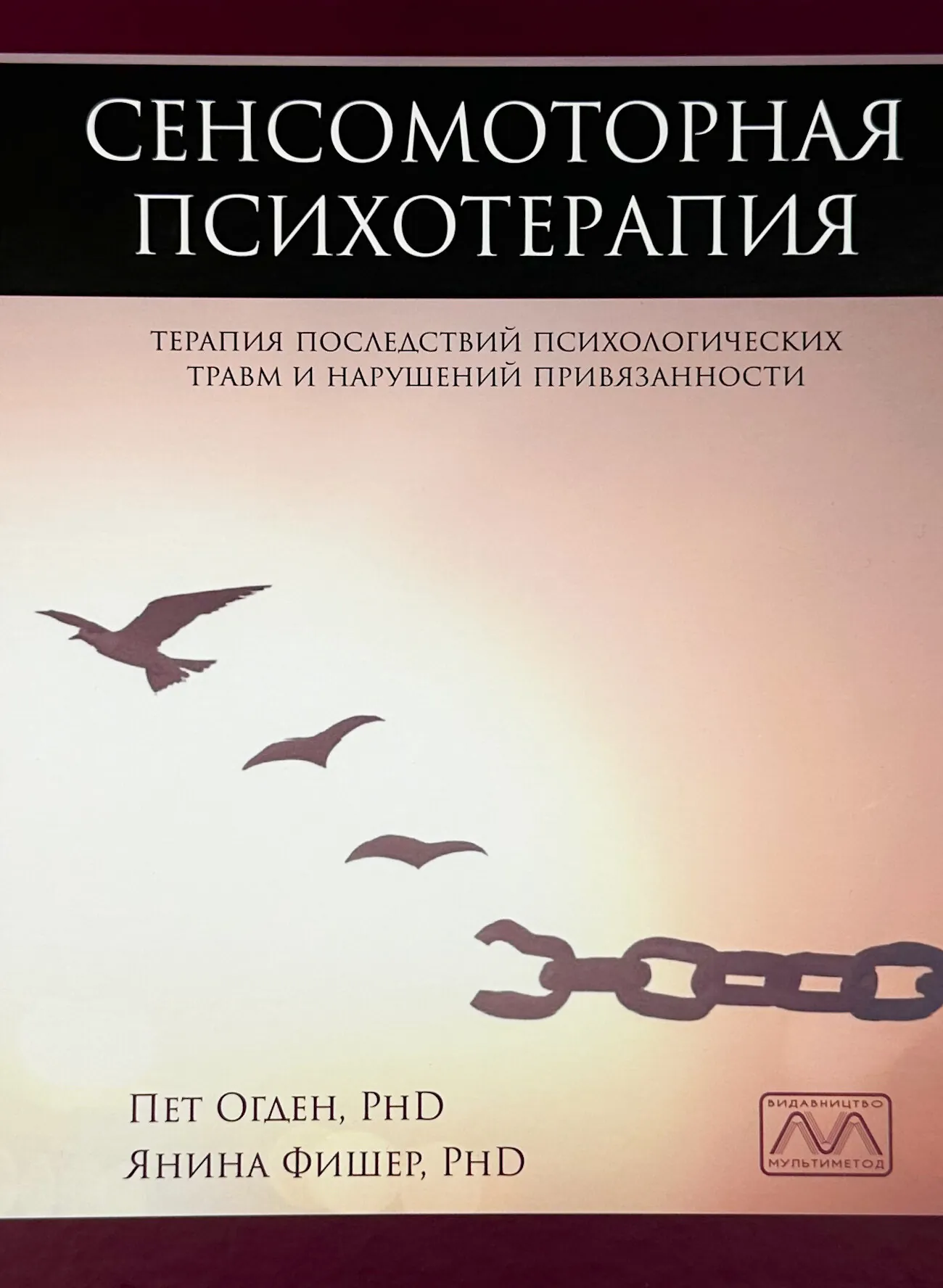 Сенсомоторная психотерапия. Терапия последствий психологических травм и нарушений привязанности