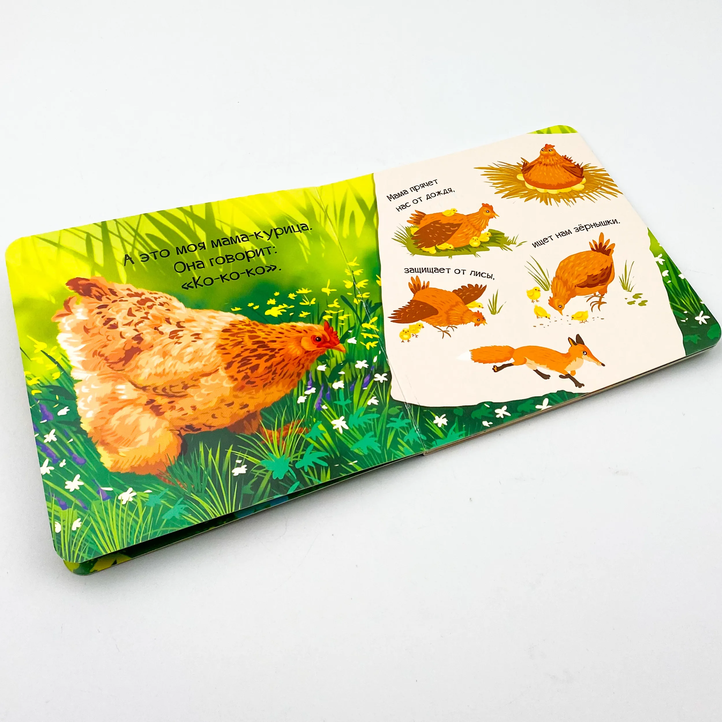 Знакомься, я цыпленок. Автор — Рід Барбара. 