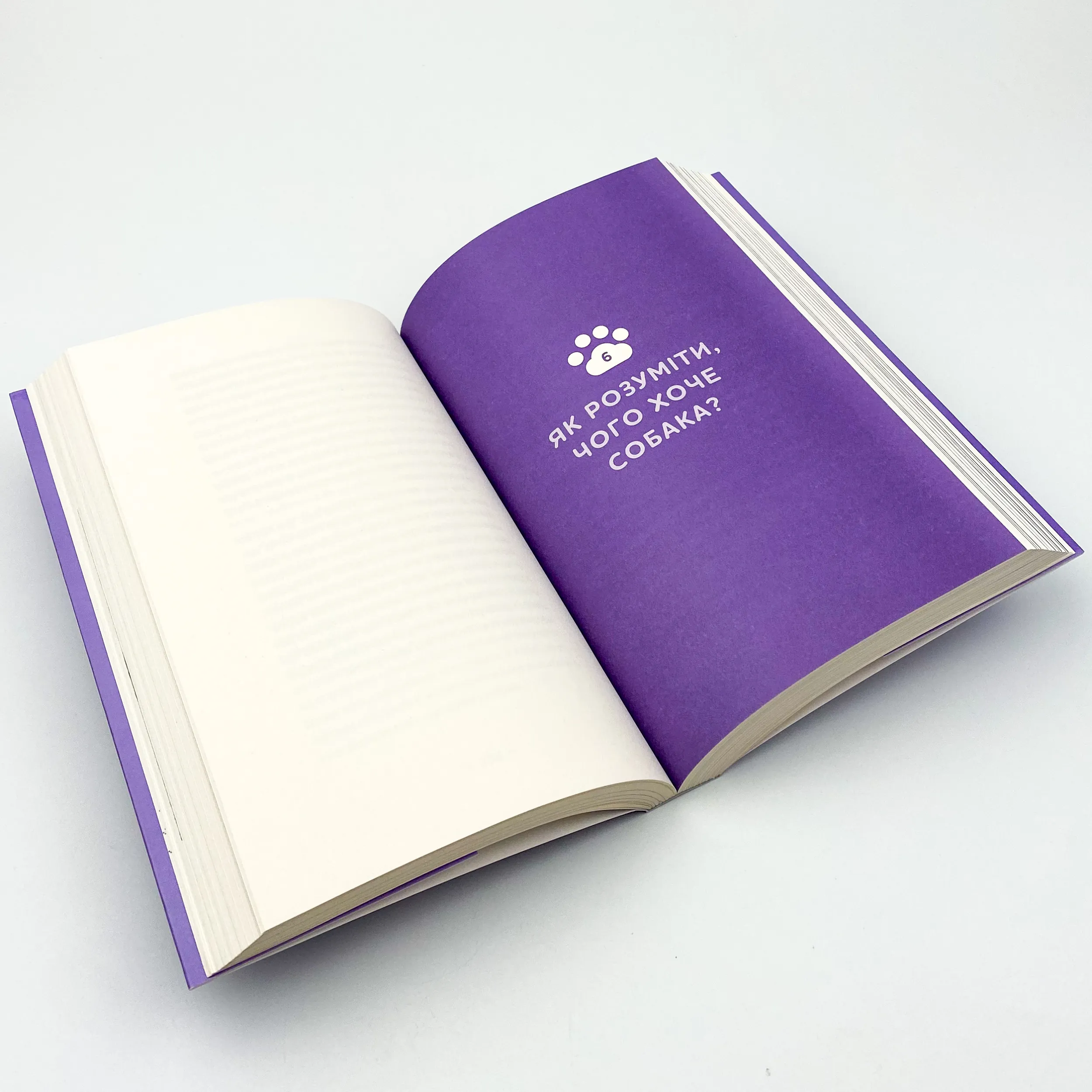 Із ким я живу. Короткий курс для розуміння собаки. Автор — Оксана Галан. 