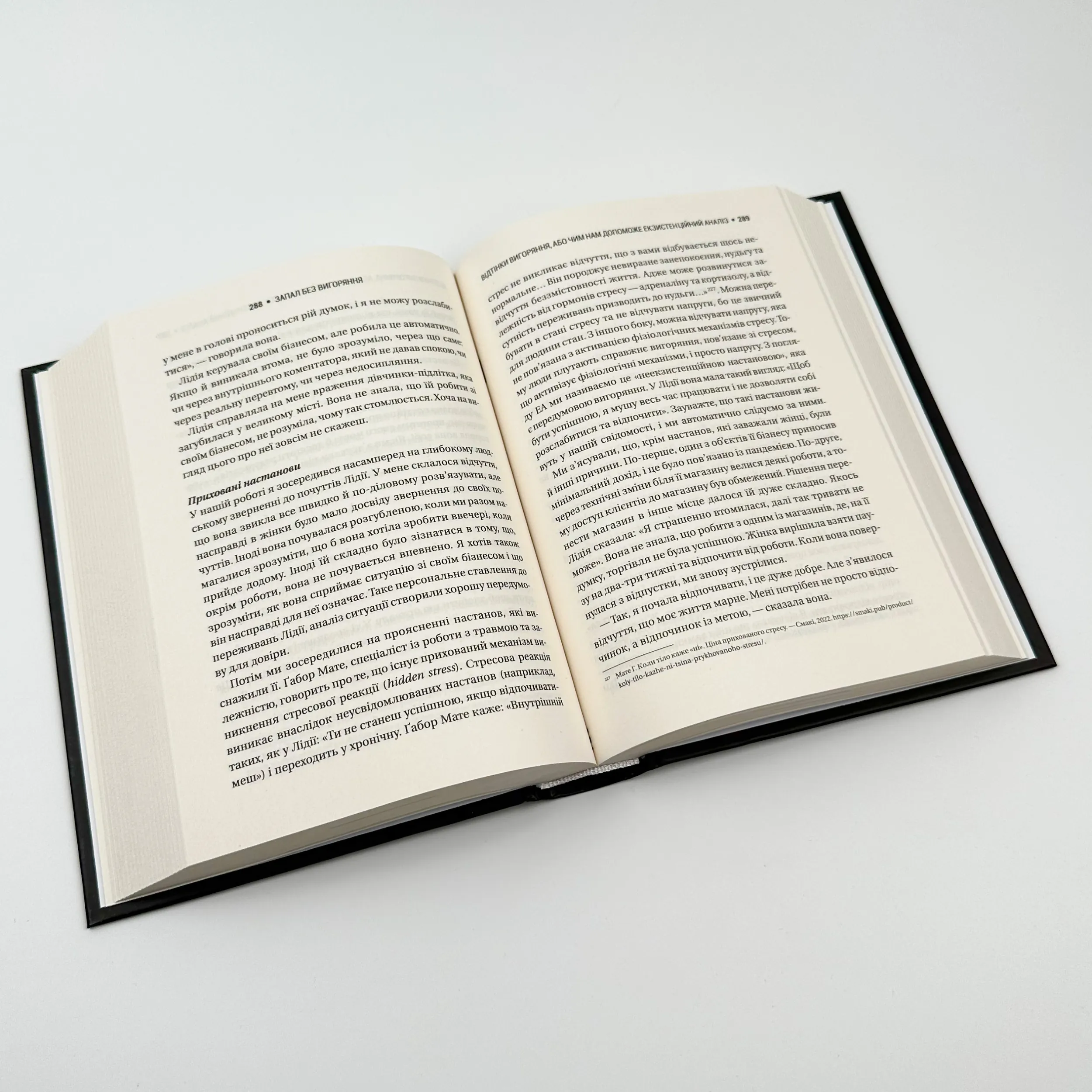 Запал без вигорання. Як завершити цикл стресу, працювати до сподоби й жити щасливо. Автор — Вʼячеслав Халанський. 