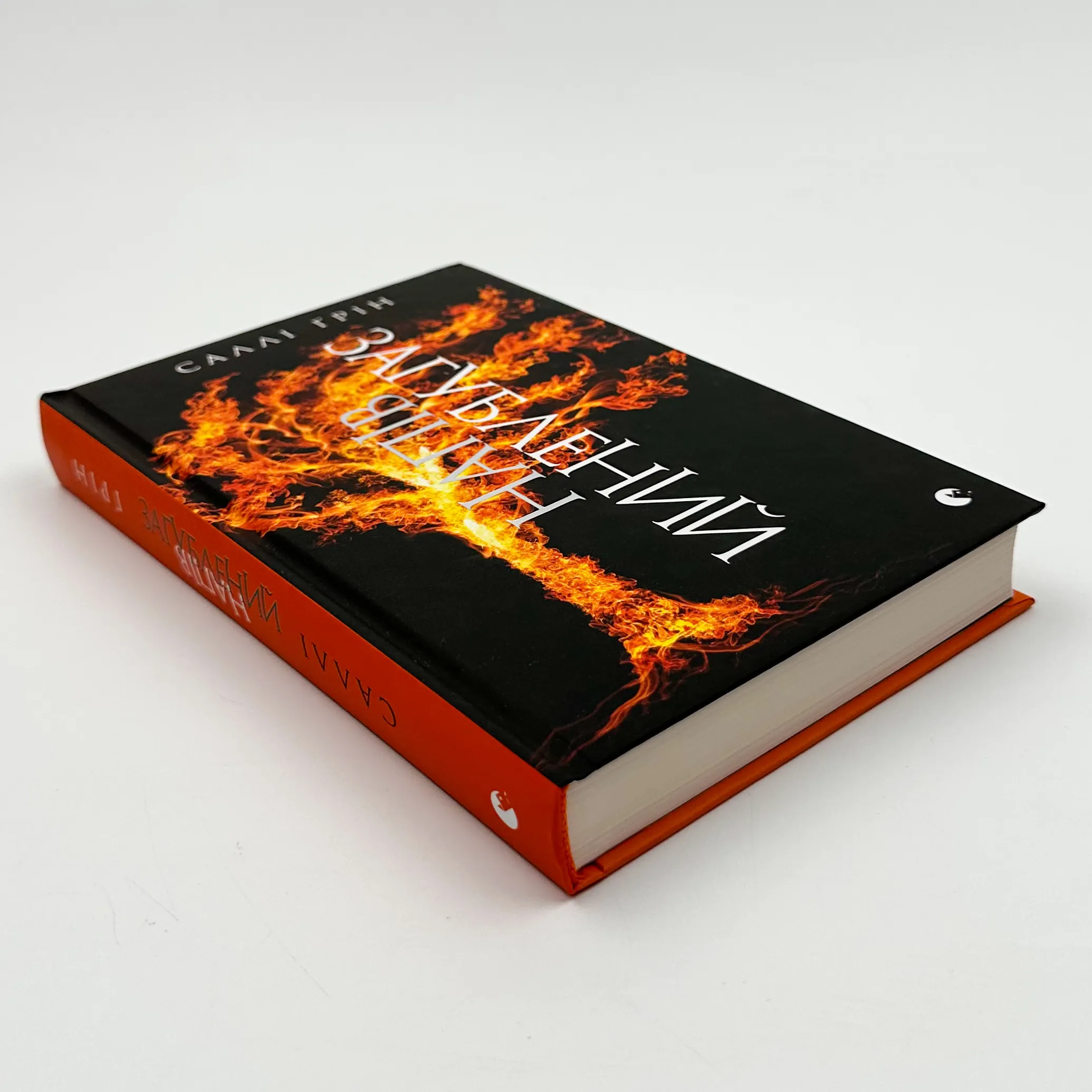 Напівзагублений. Книга 3