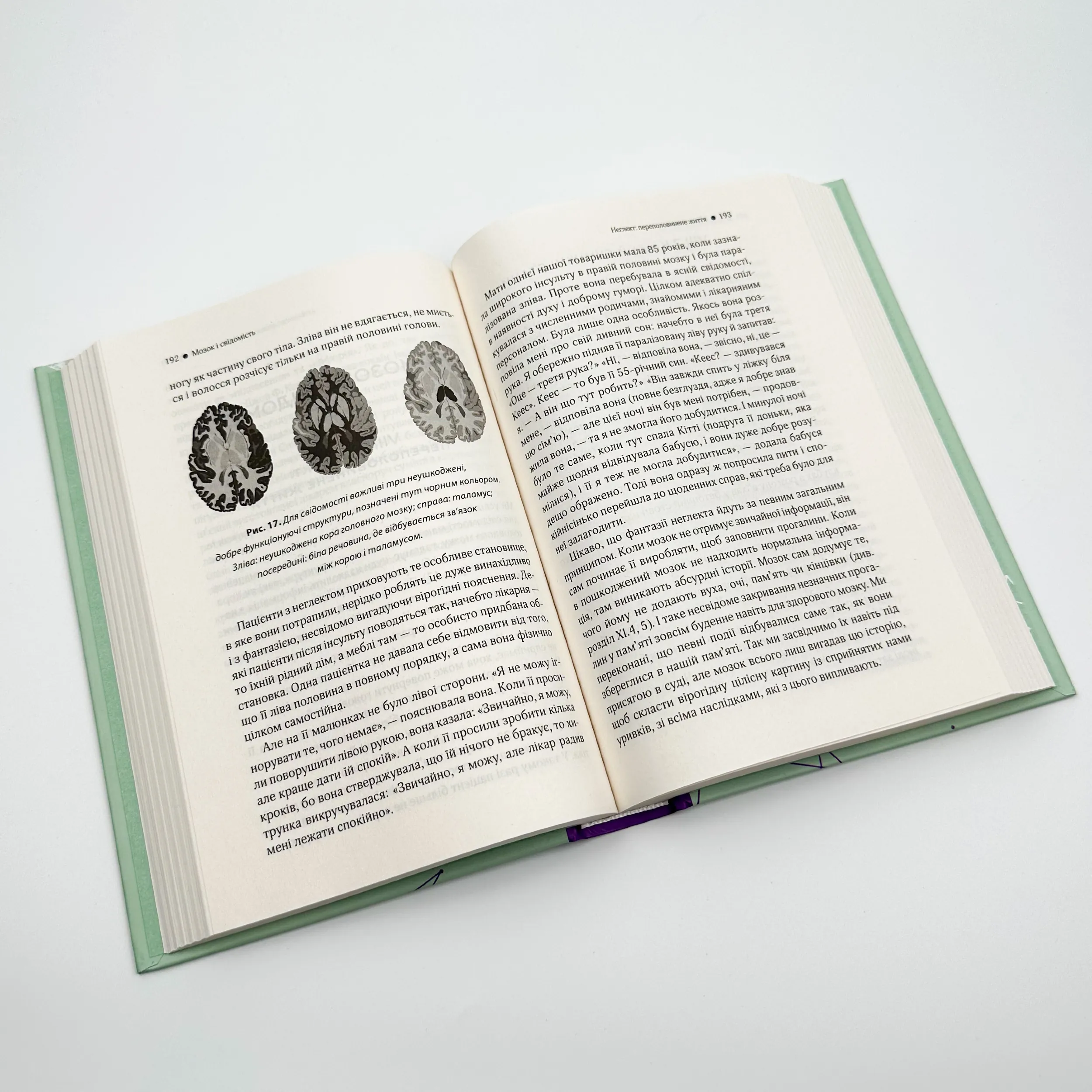 Ми - це наш мозок. Від зародження до забуття. Автор — Дік Свааб. 