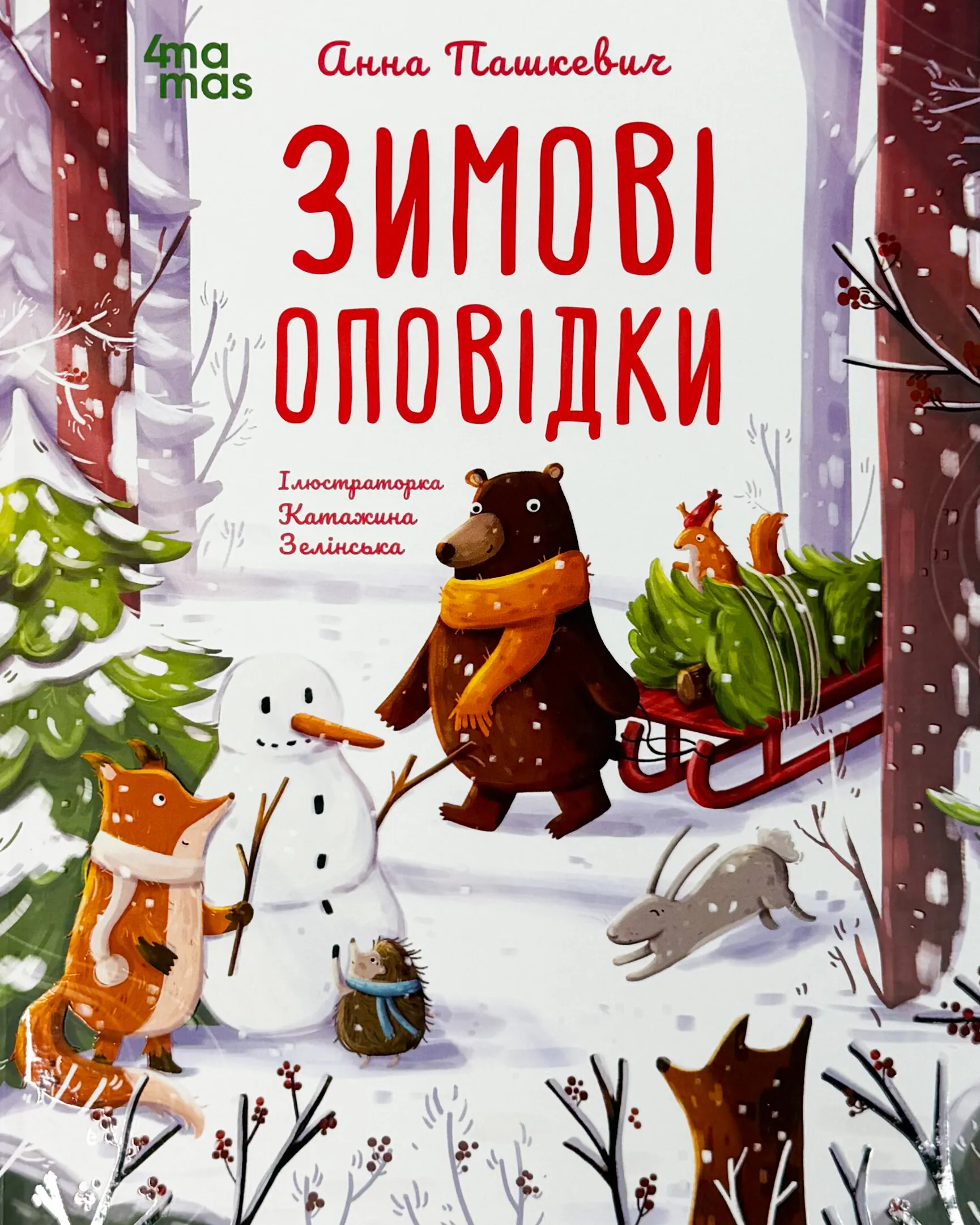 Зимові оповідки