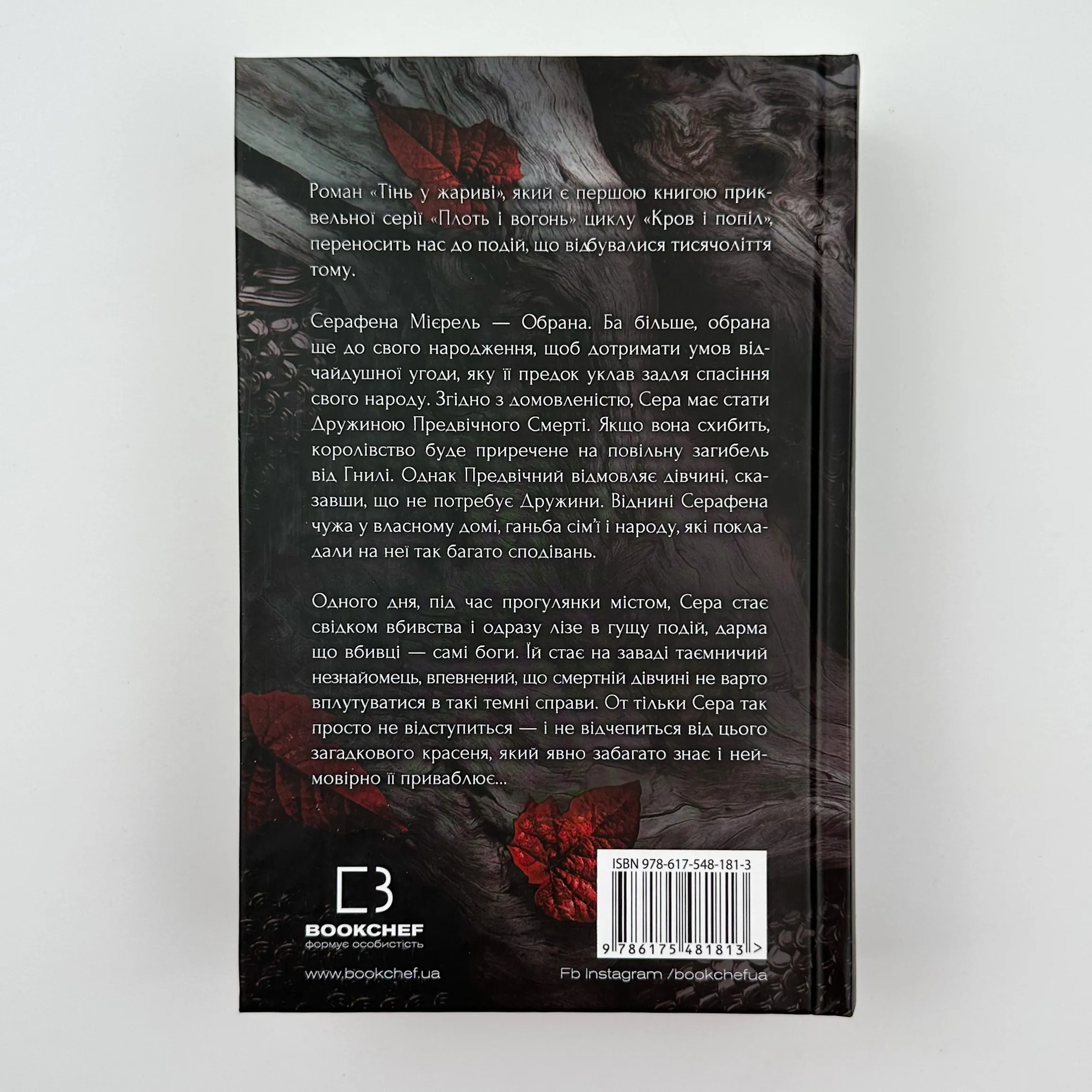  Плоть і вогонь. Книга 1: Тінь у жариві. Автор — Дженніфер Л. Арментраут. 