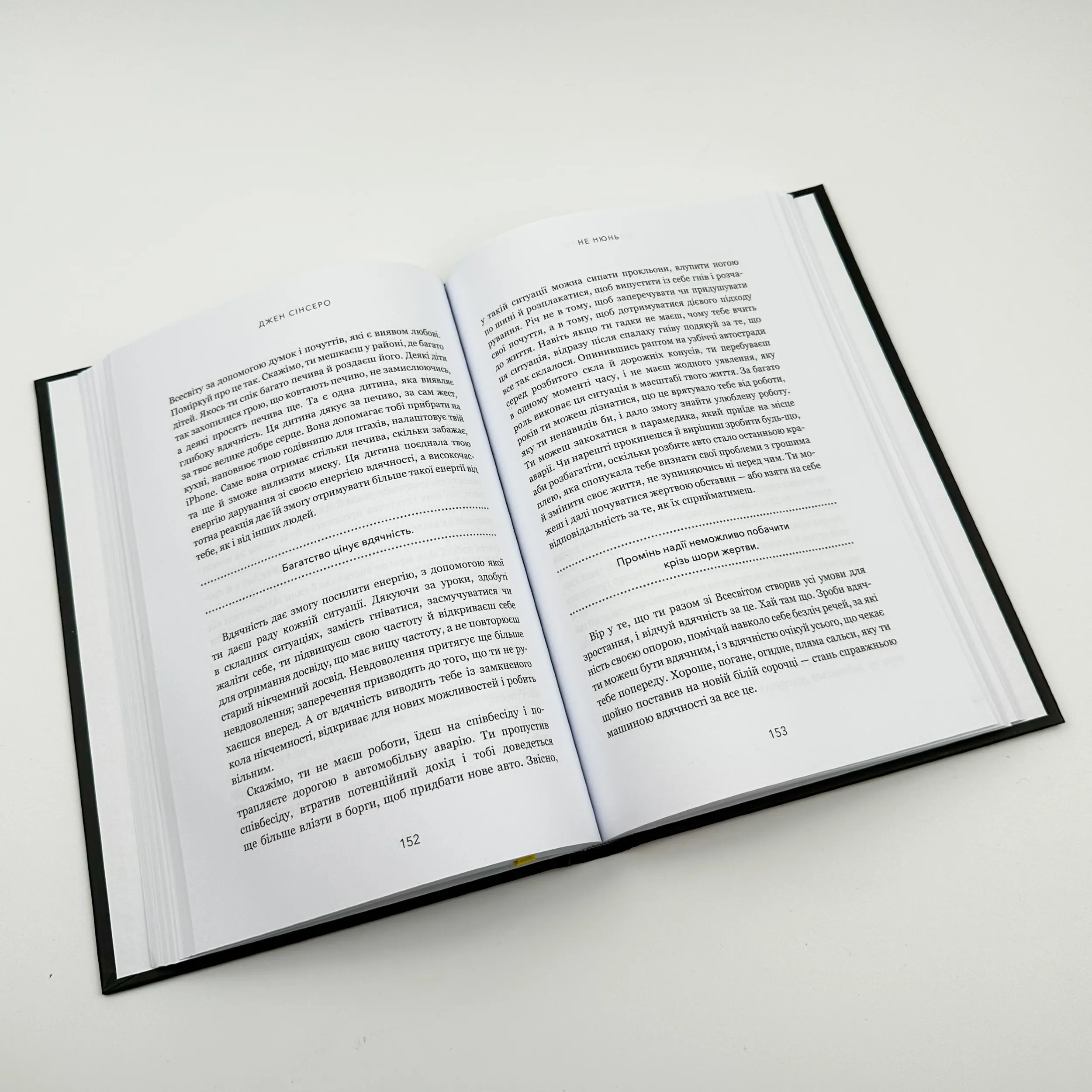 Не нюнь. Перестань скаржитися на долю, подолай страх безгрошів'я і досягни фінансового успіху. Автор — Джен Сінсеро. 