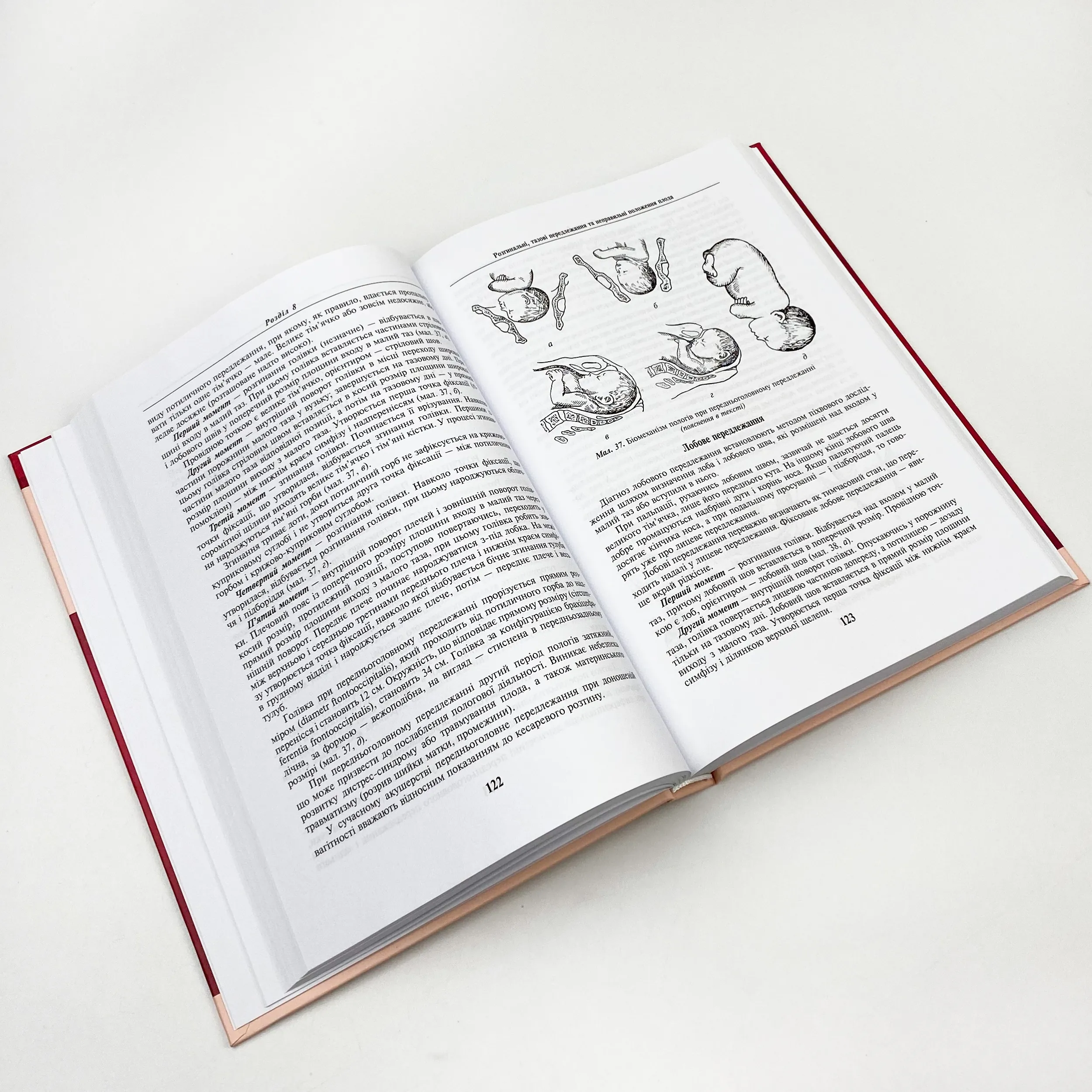 Акушерство і гінекологія: у 2 книгах. Книга 1. Автор — В.І Грищенко, М.О Щербина, Б.М Венцківський. 