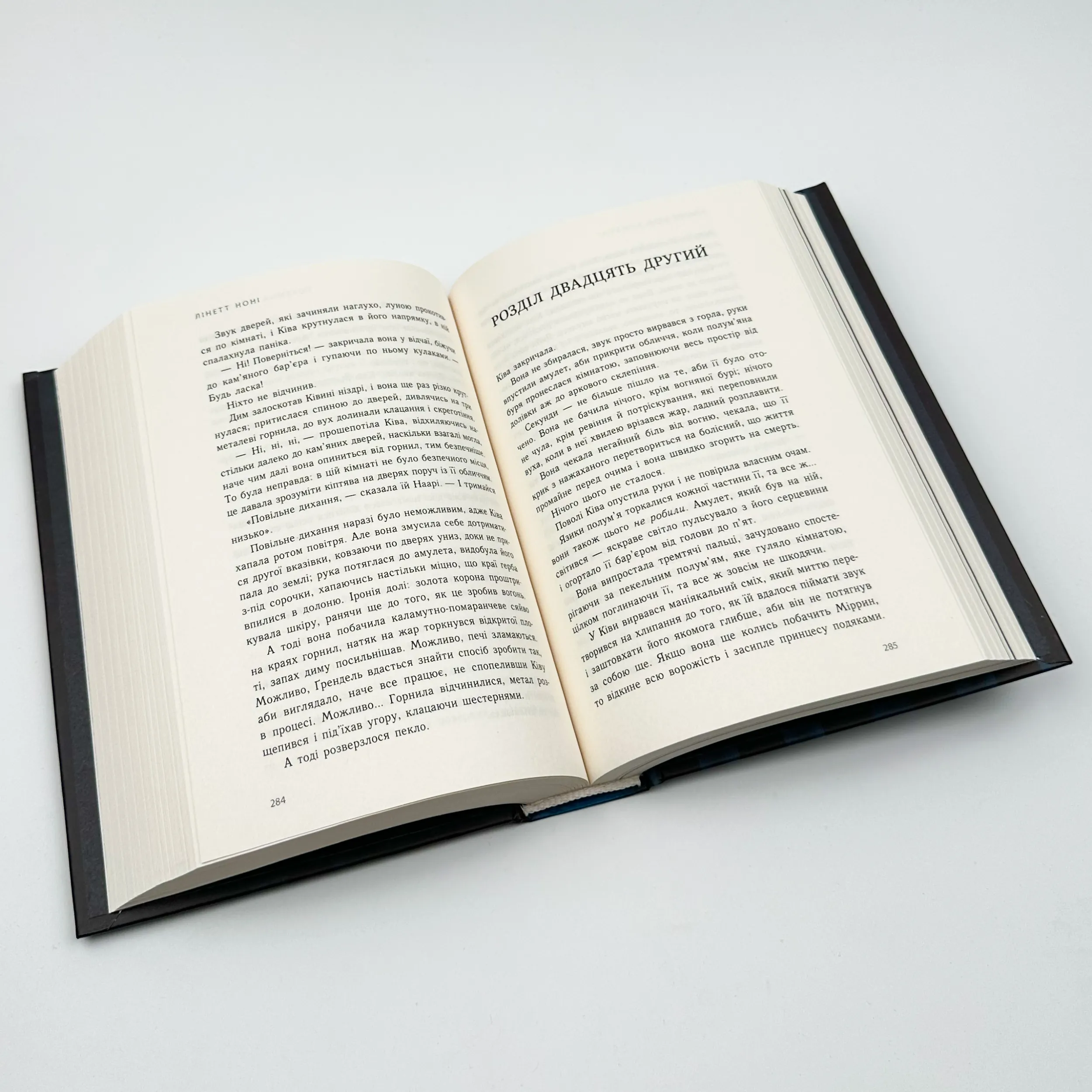 Тюремна цілителька. Книга 1. Автор — Лінетт Ноні. 