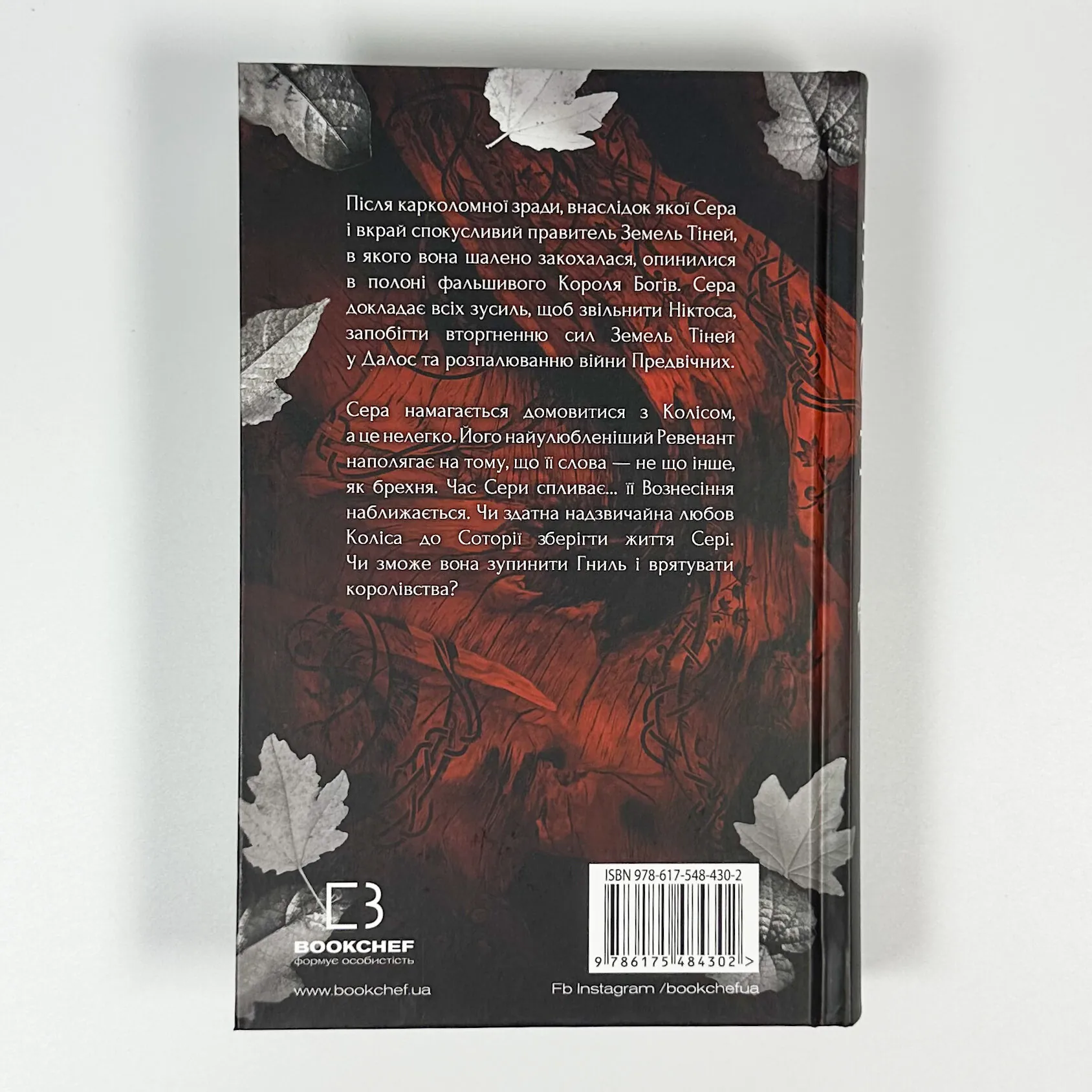 Плоть і вогонь. Книга 3: Вогонь у плоті. Автор — Дженніфер Л. Арментраут. 