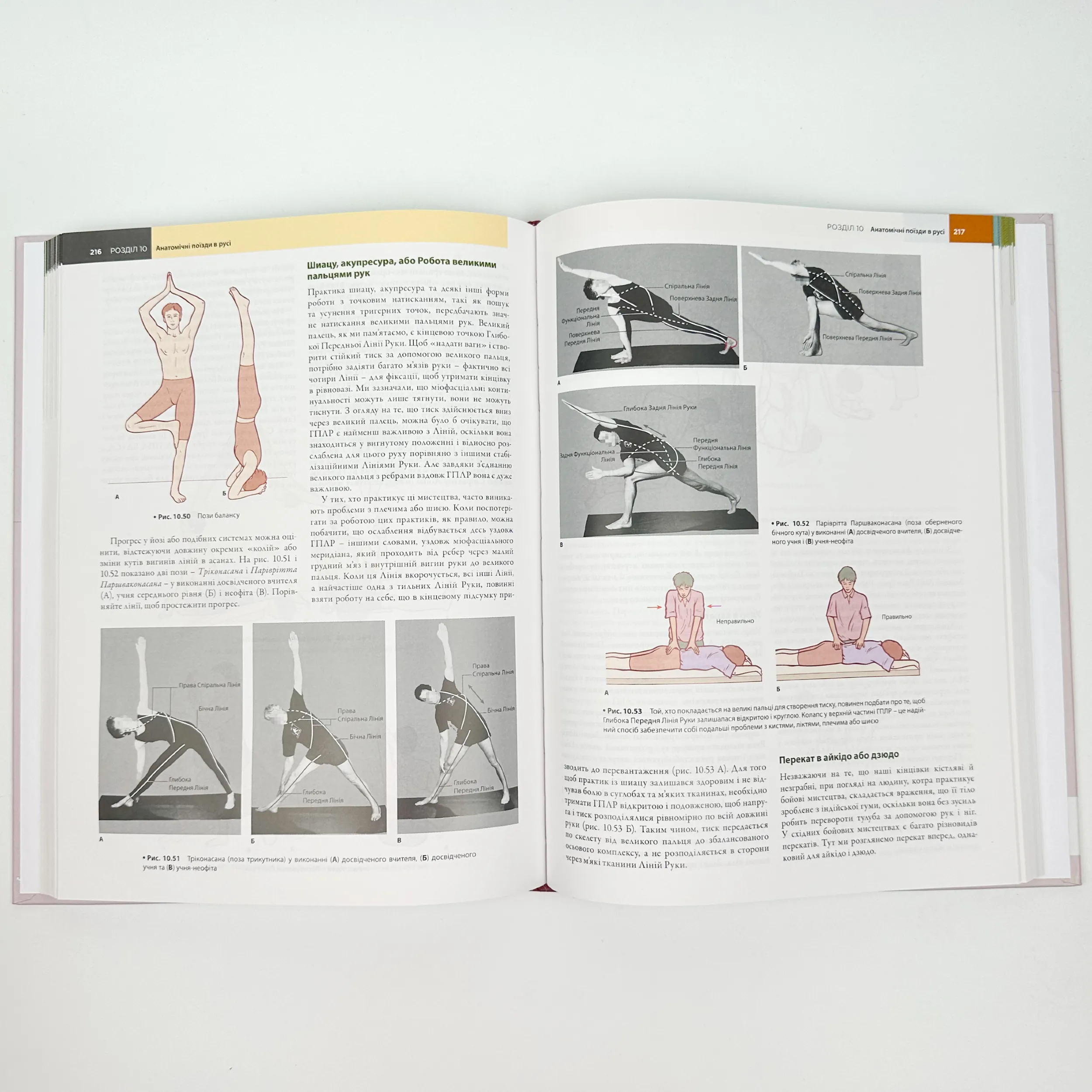 Анатомічні поїзди: міофасціальні меридіани для мануальних терапевтів і фахівців із відновлення руху: 4-е видання. Автор — Томас В Маєрс. 