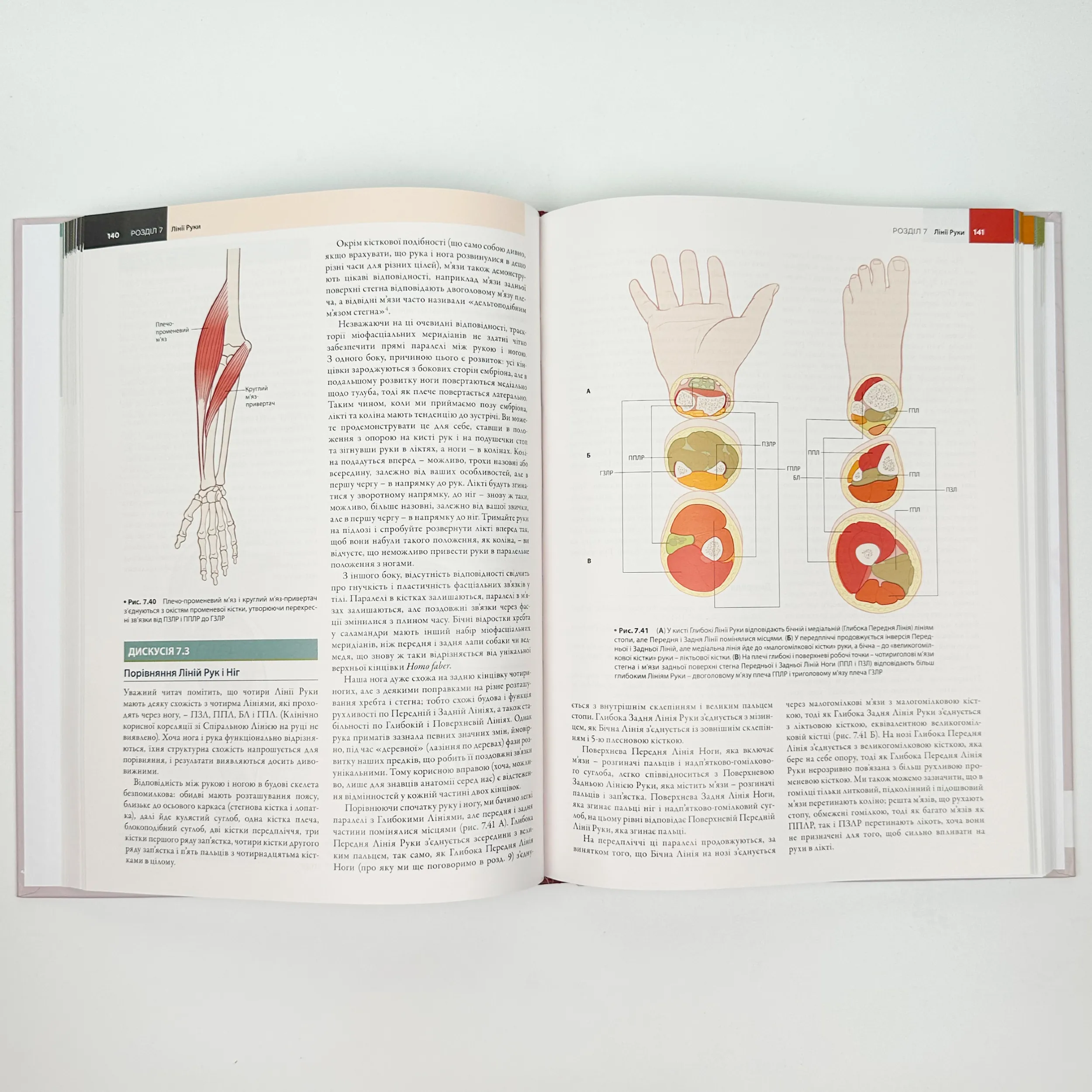 Анатомічні поїзди: міофасціальні меридіани для мануальних терапевтів і фахівців із відновлення руху: 4-е видання. Автор — Томас В Маєрс. 