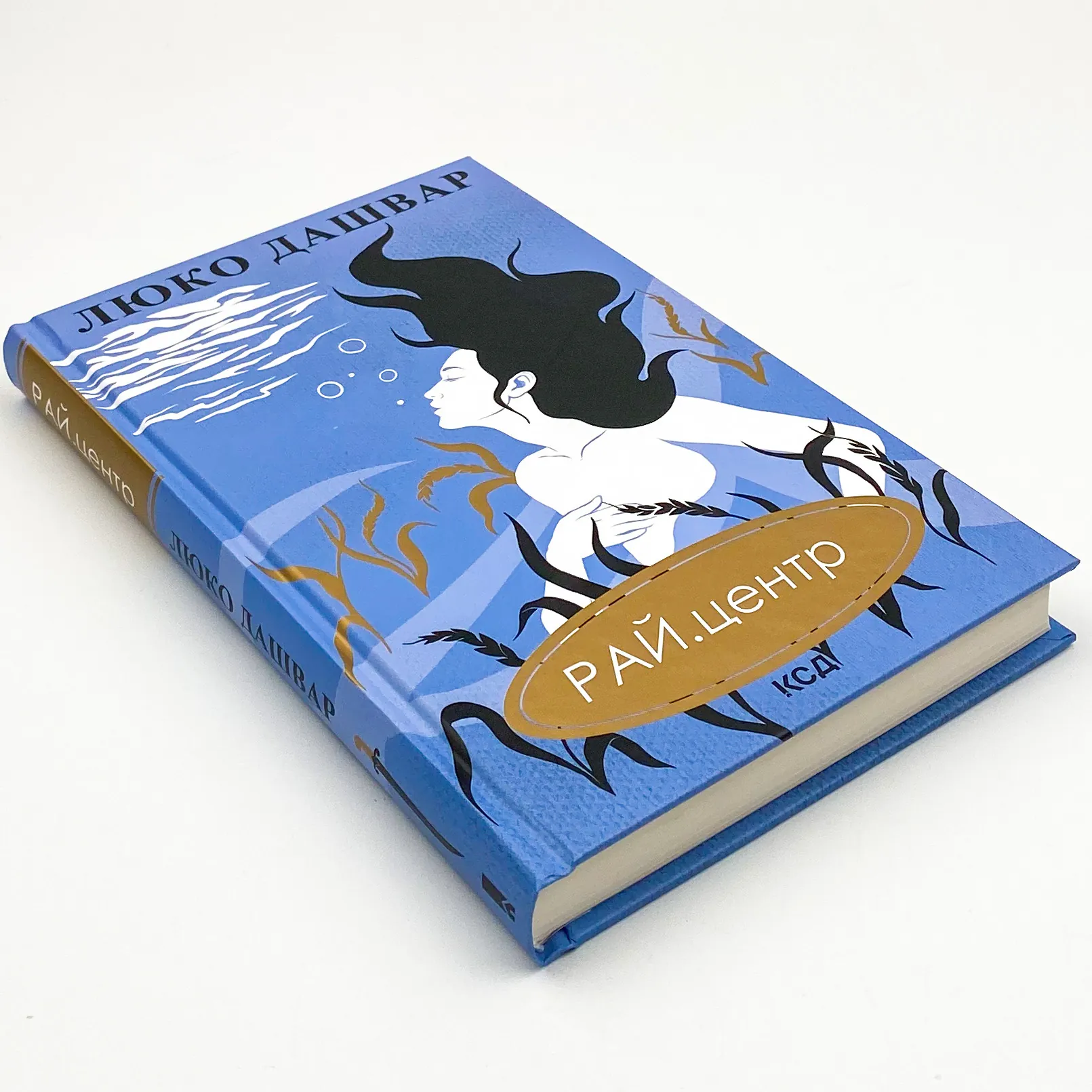 РАЙ.центр. Автор — Люко Дашвар. 