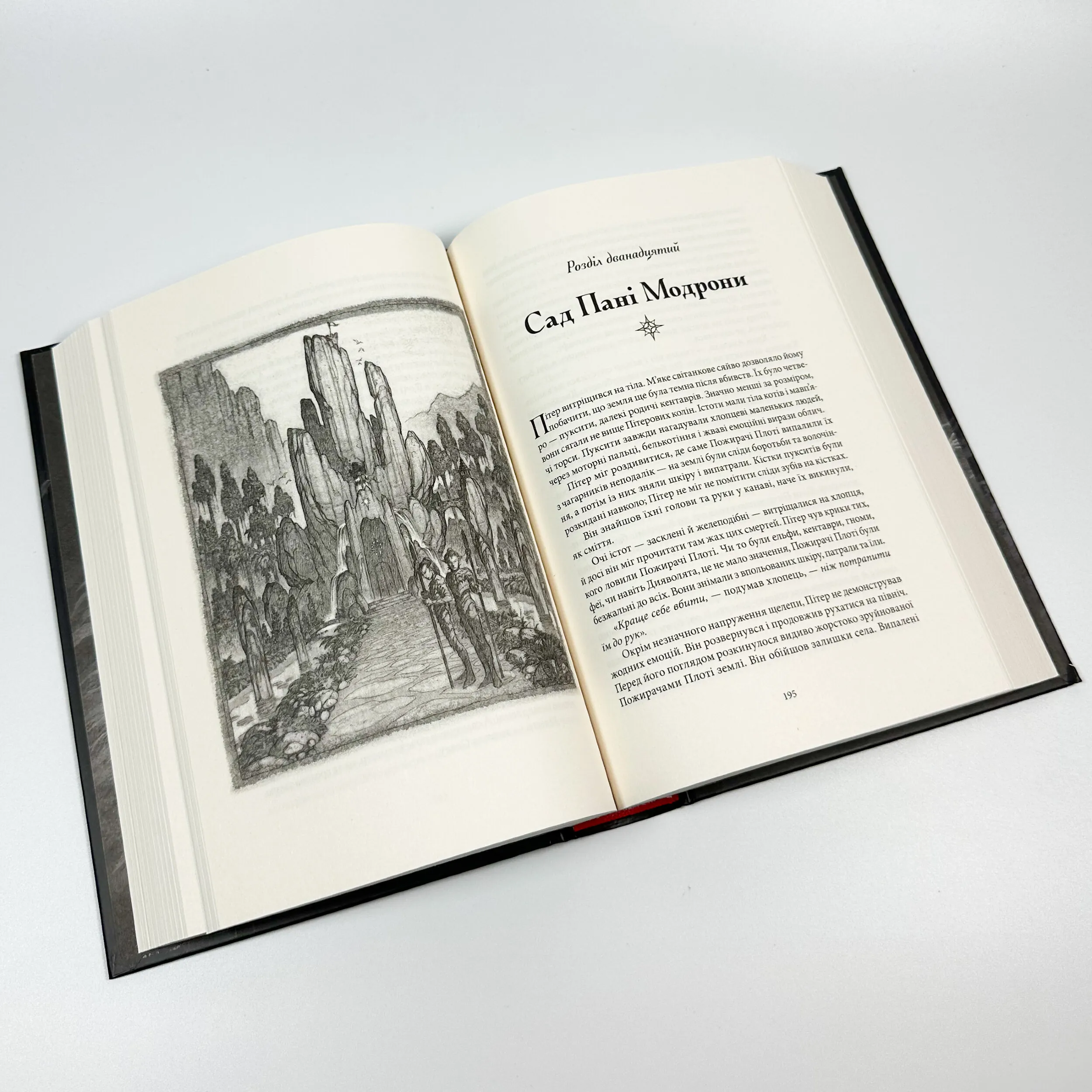 Викрадач дітей. Автор — Бром. 