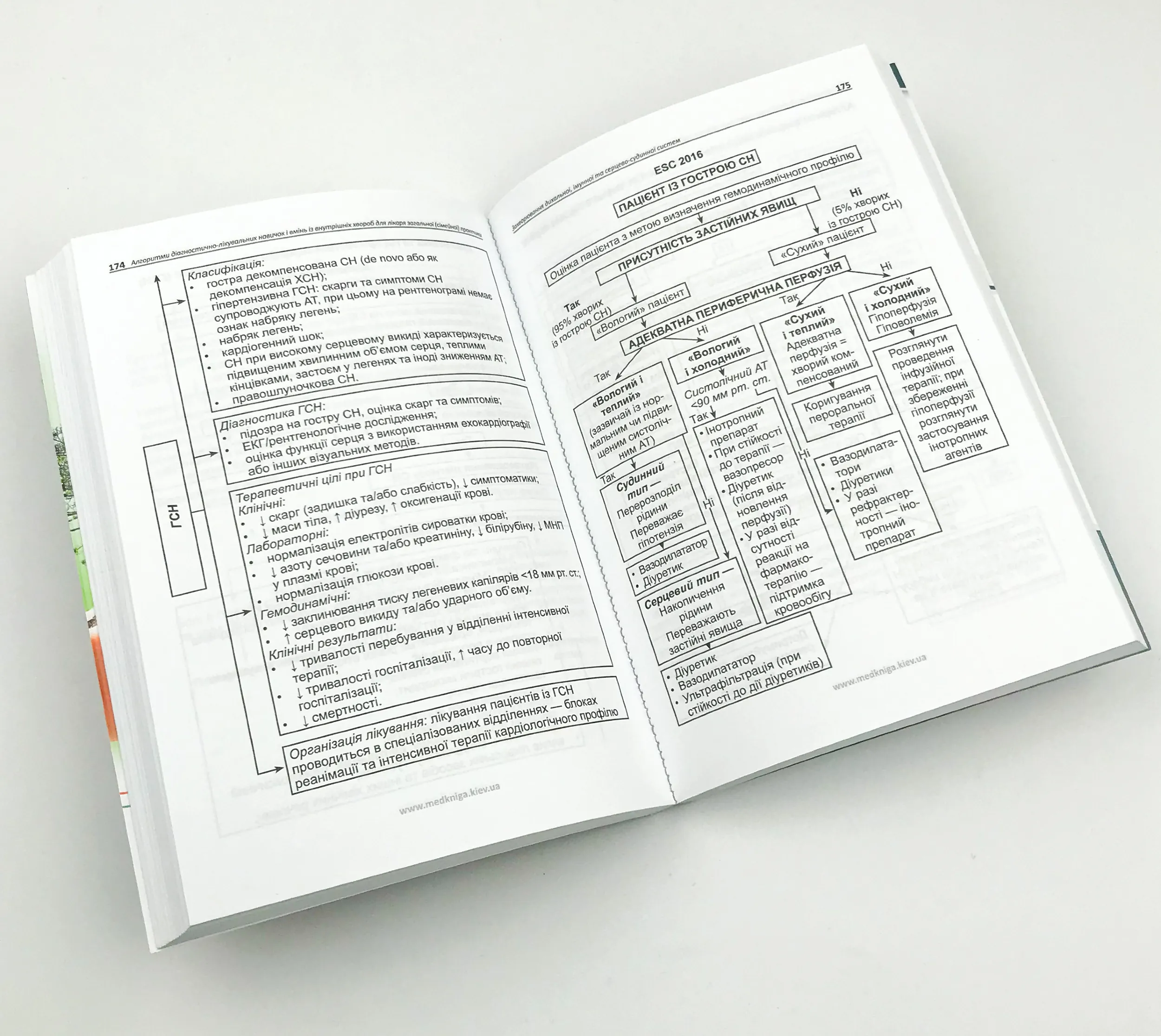 Захворювання дихальної, імунної та серцево-судинної систем. Книга 1. Автор — Кривенко В.І.. 
