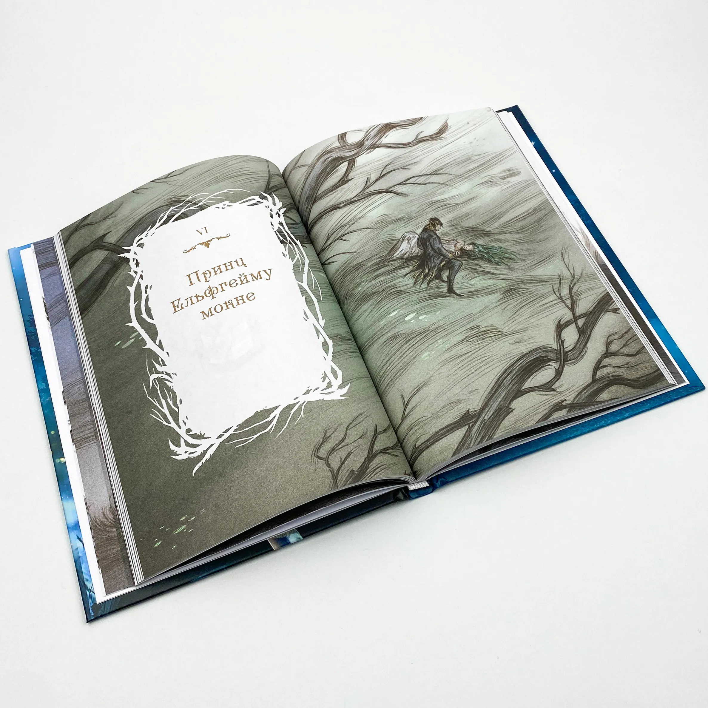 Як король Ельфгейму зненавидів оповідки. Автор — Голлі Блек. 