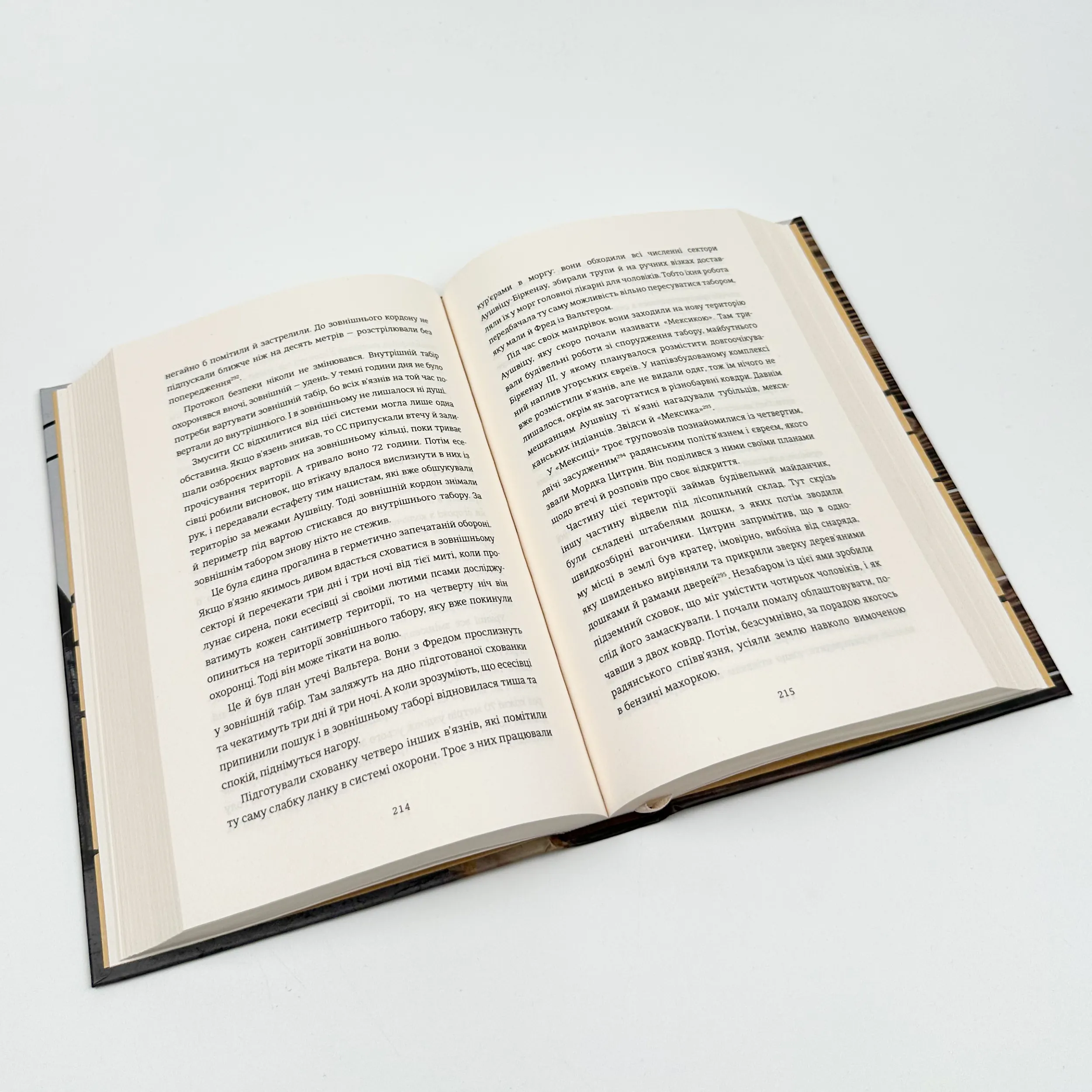 Майстер утечі. Людина, яка втекла з Аушвіцу, щоб попередити світ. Автор — Джонатан Фрідленд. 