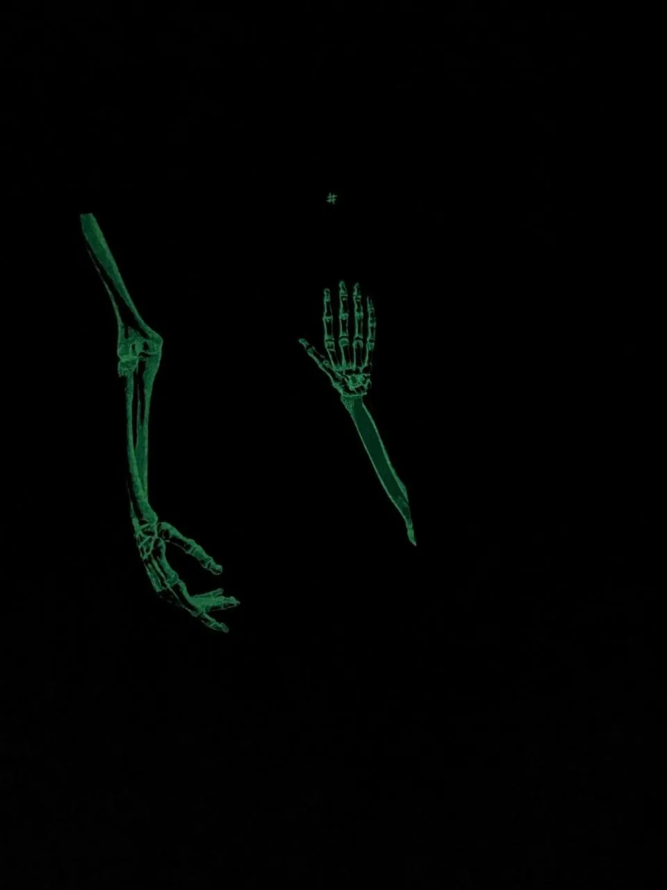 Закарбовано на кістках. Таємниці, які ми залишаємо після себе. Автор — Сью Блэк. 