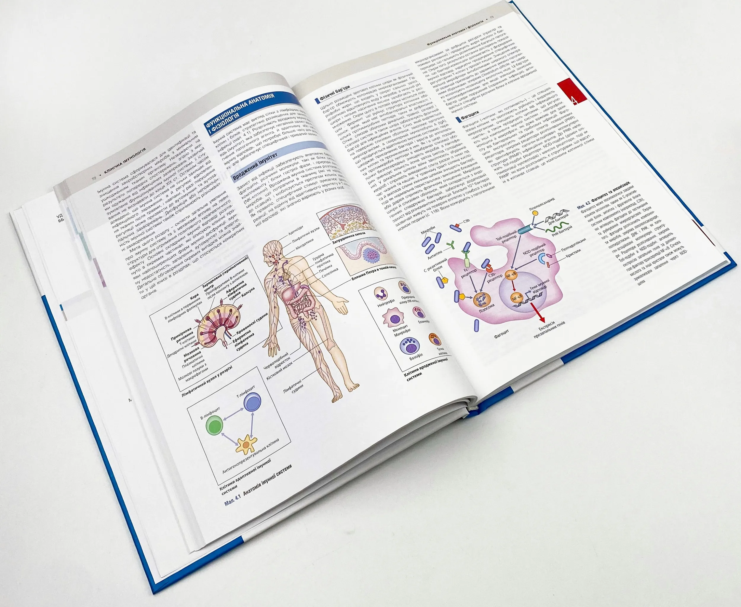 Медицина за Девідсоном: принципи і практика: 23-є видання: у 3 томах. Том 1. Автор — Стюарт Г Ралстон, Ян Д Пенман, Марк В Дж Стрекен, Річарда П Гобсон. 