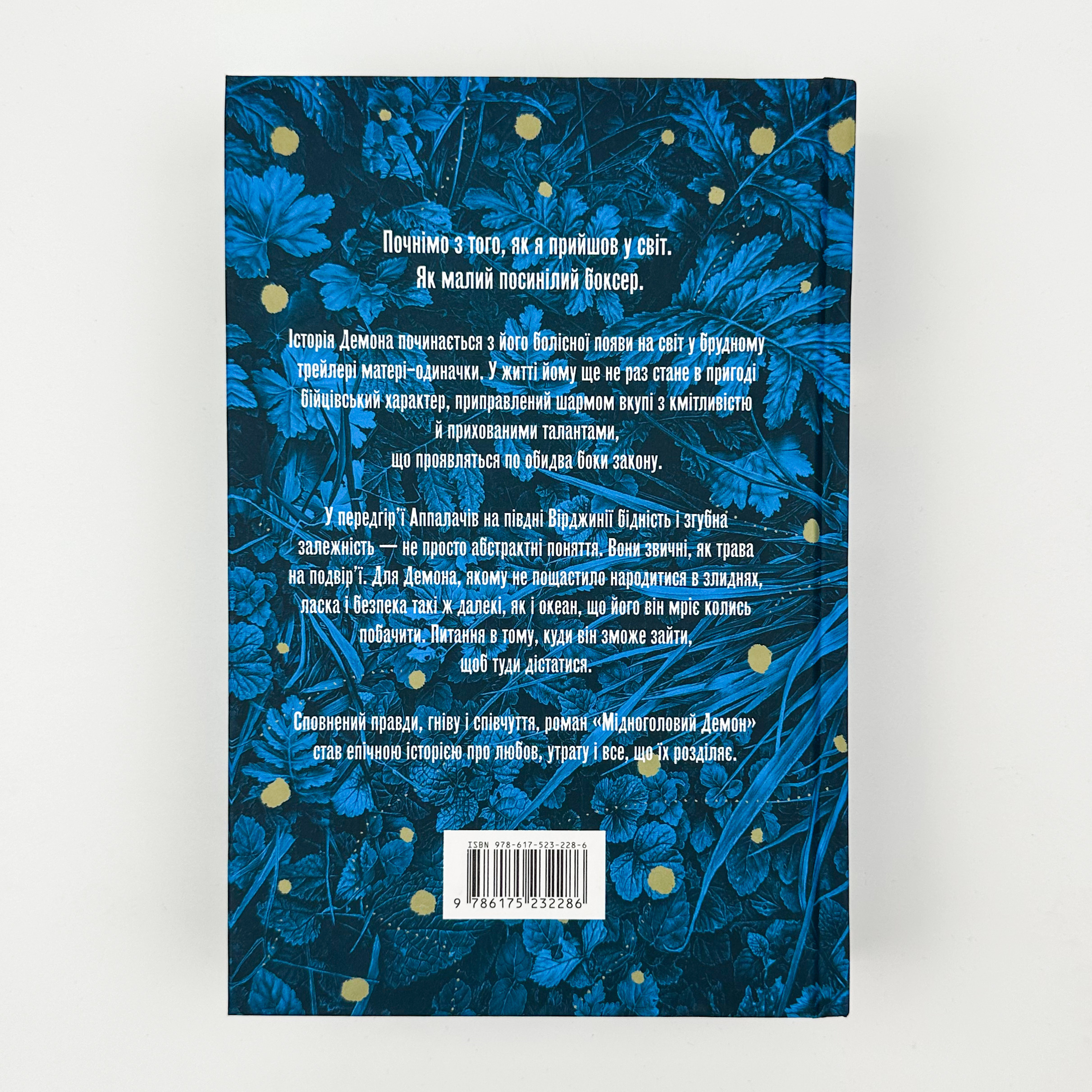 Мідноголовий демон (Limited edition). Автор — Барбара Кінґсолвер. 