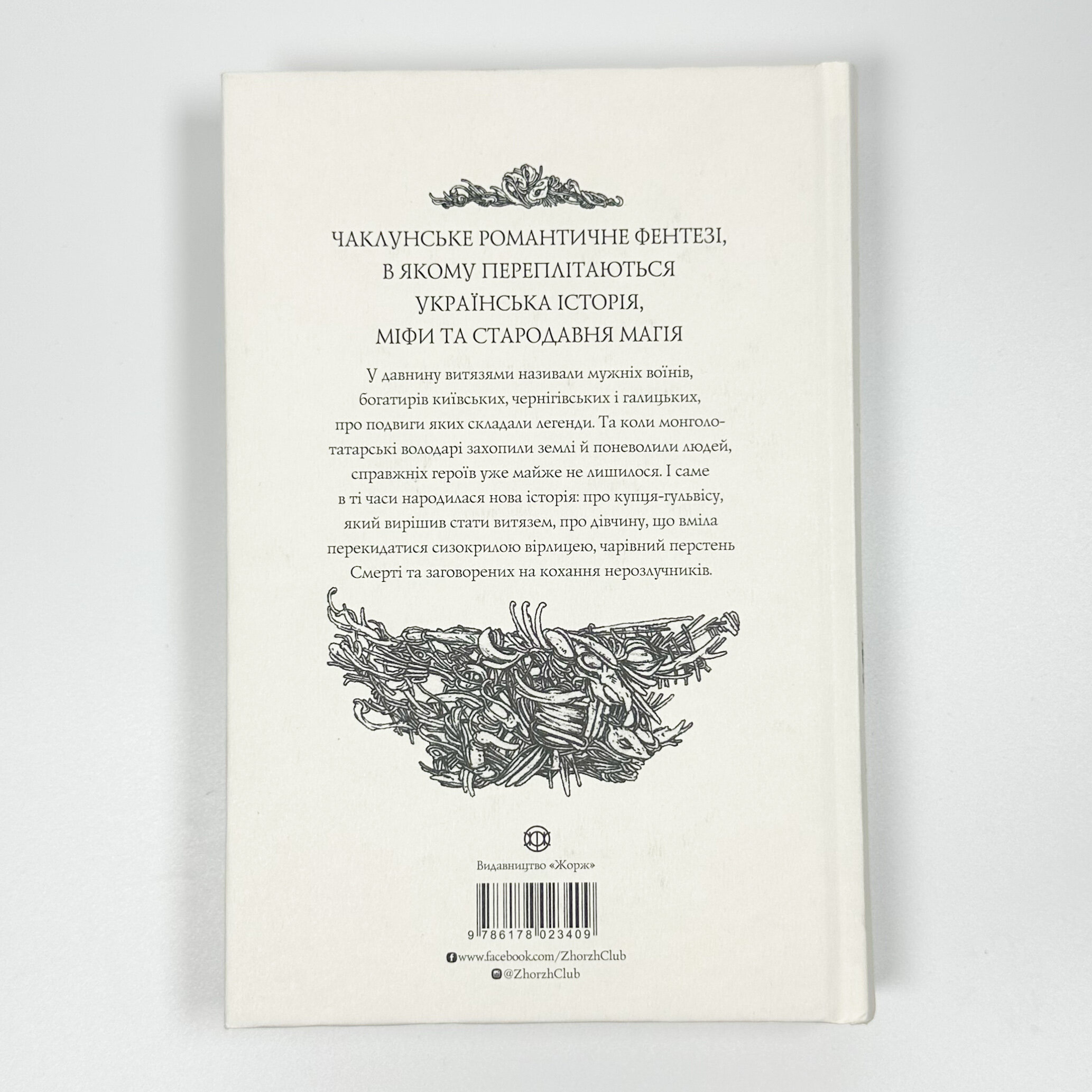 Витязь і Вірлиця. Автор — Наталія Довгопол. 