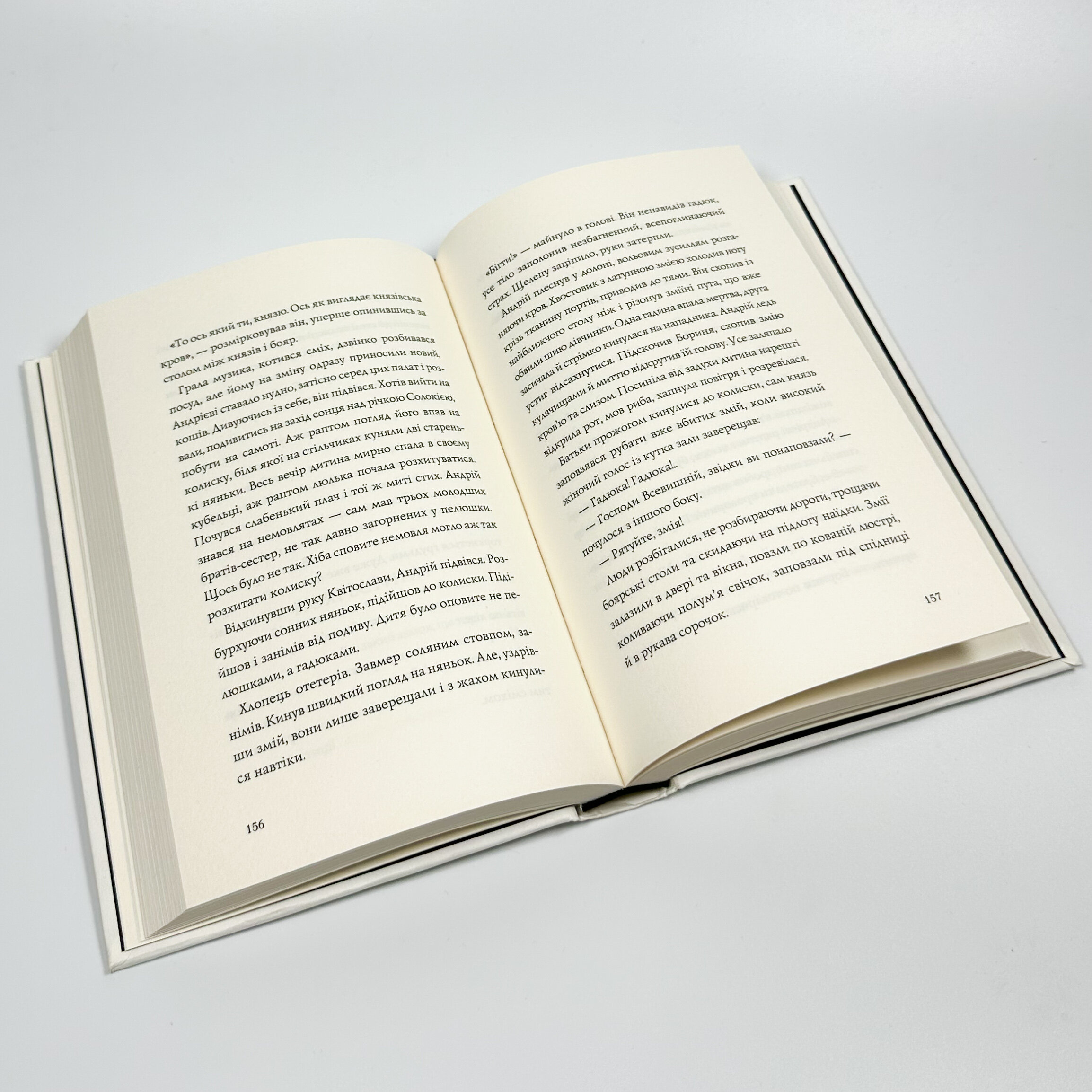 Витязь і Вірлиця. Автор — Наталія Довгопол. 