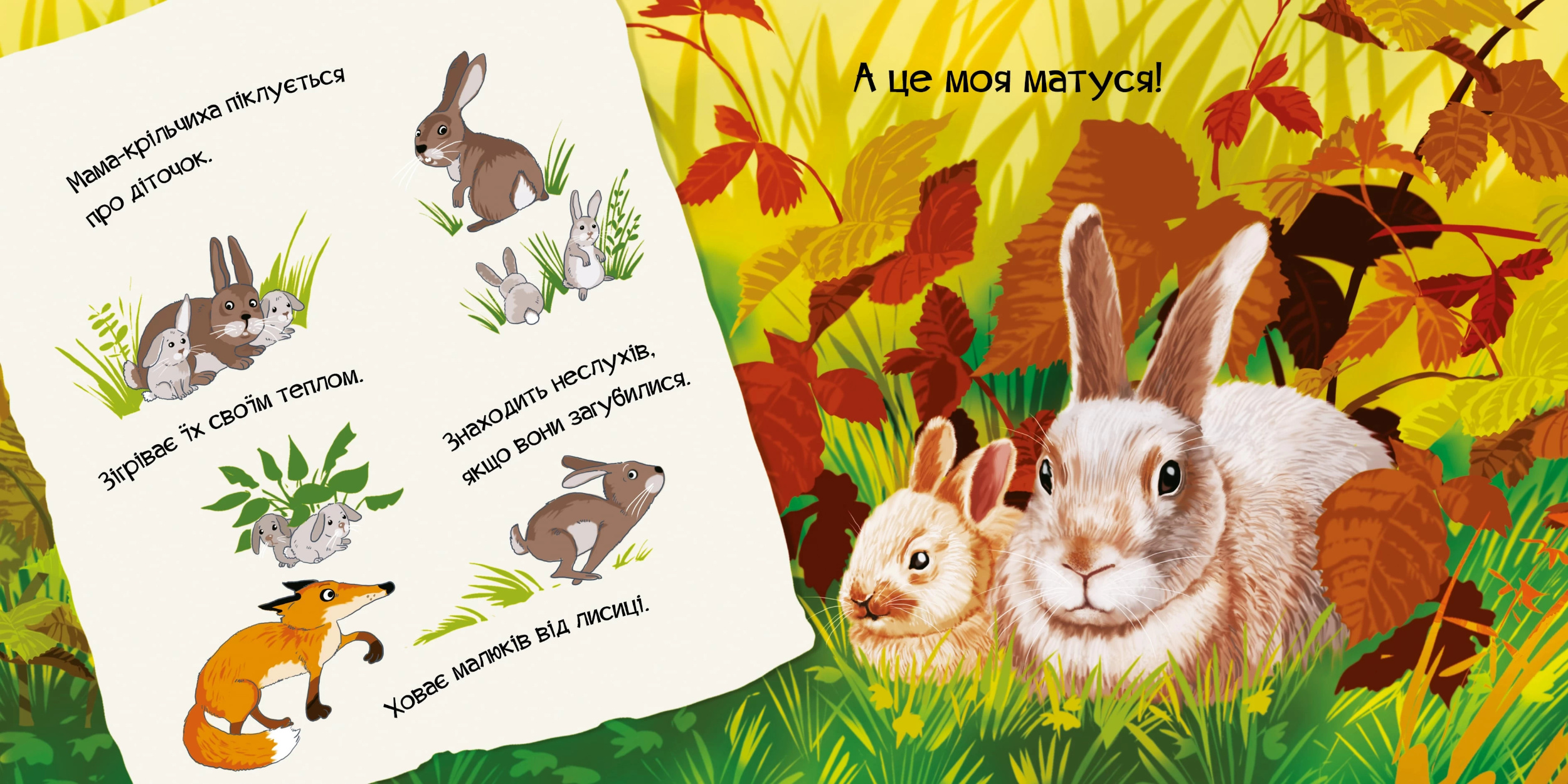 Знайомся, я кроленя