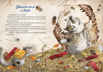 Таємниця різдвяного подарунка. Автор — Лотт Анна. 