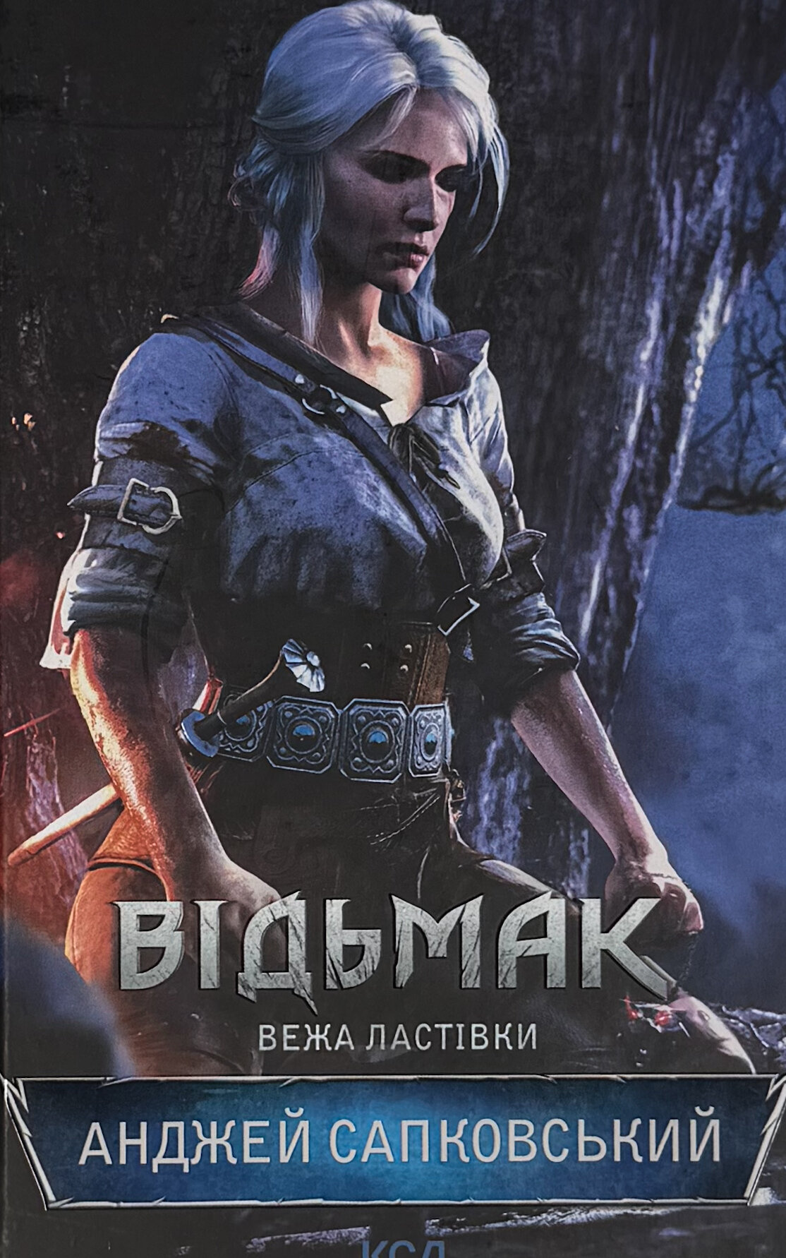 Відьмак. Вежа Ластівки. Книга 6