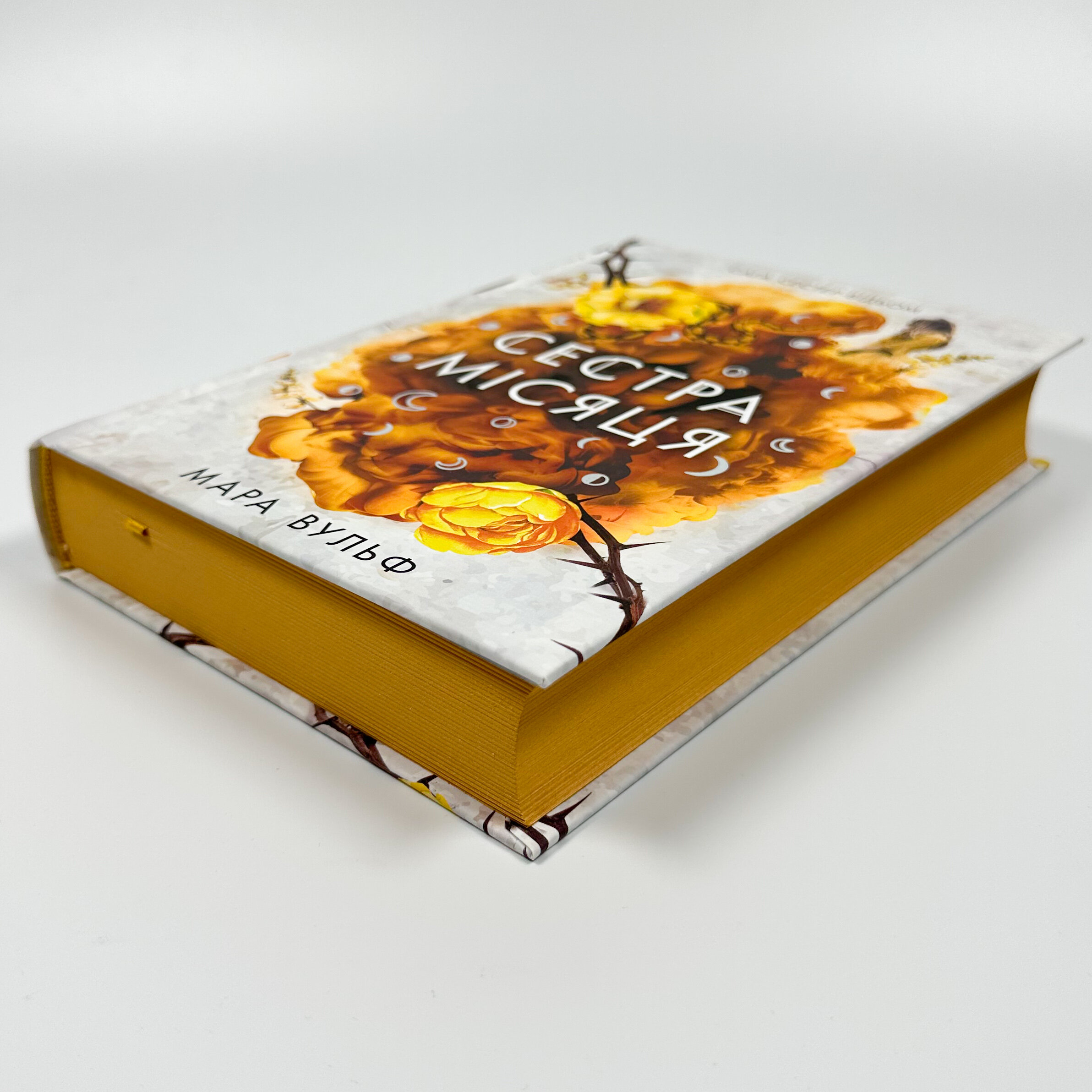 Сага сестер-відьом. Сестра Місяця. Книга 2