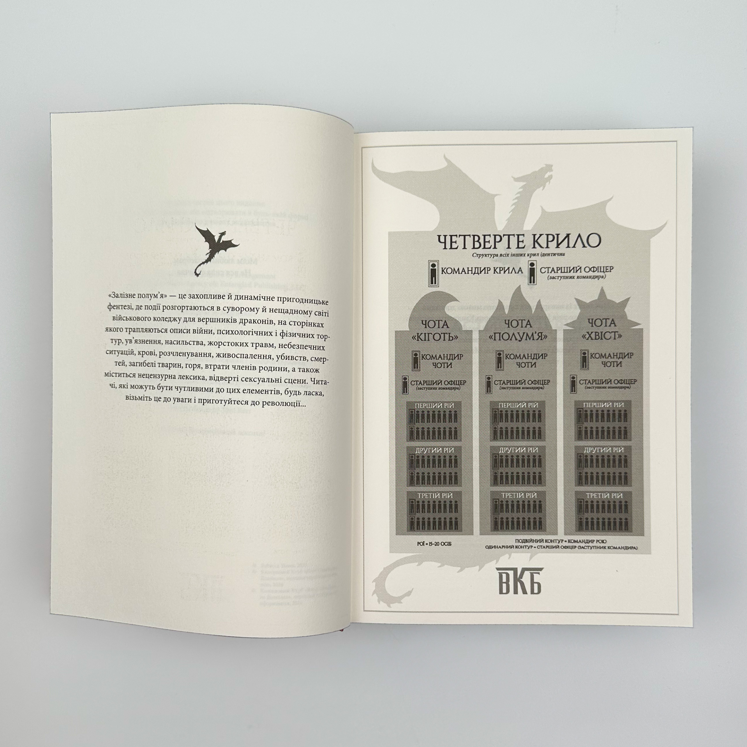 Залізне полумʼя. Автор — Ребекка Яррос. 