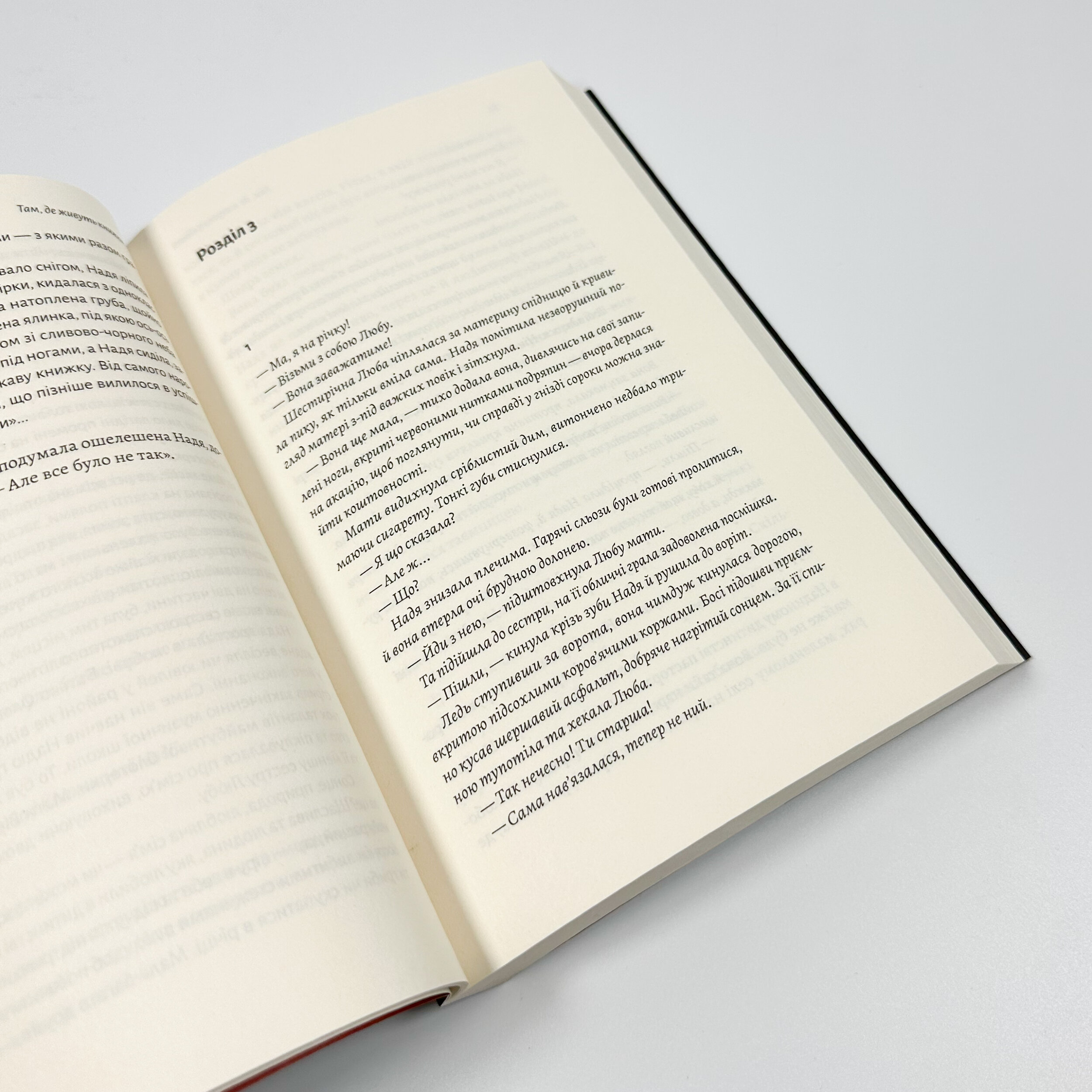 Там, де живуть книжки. Автор — Віталій Дуленко. 