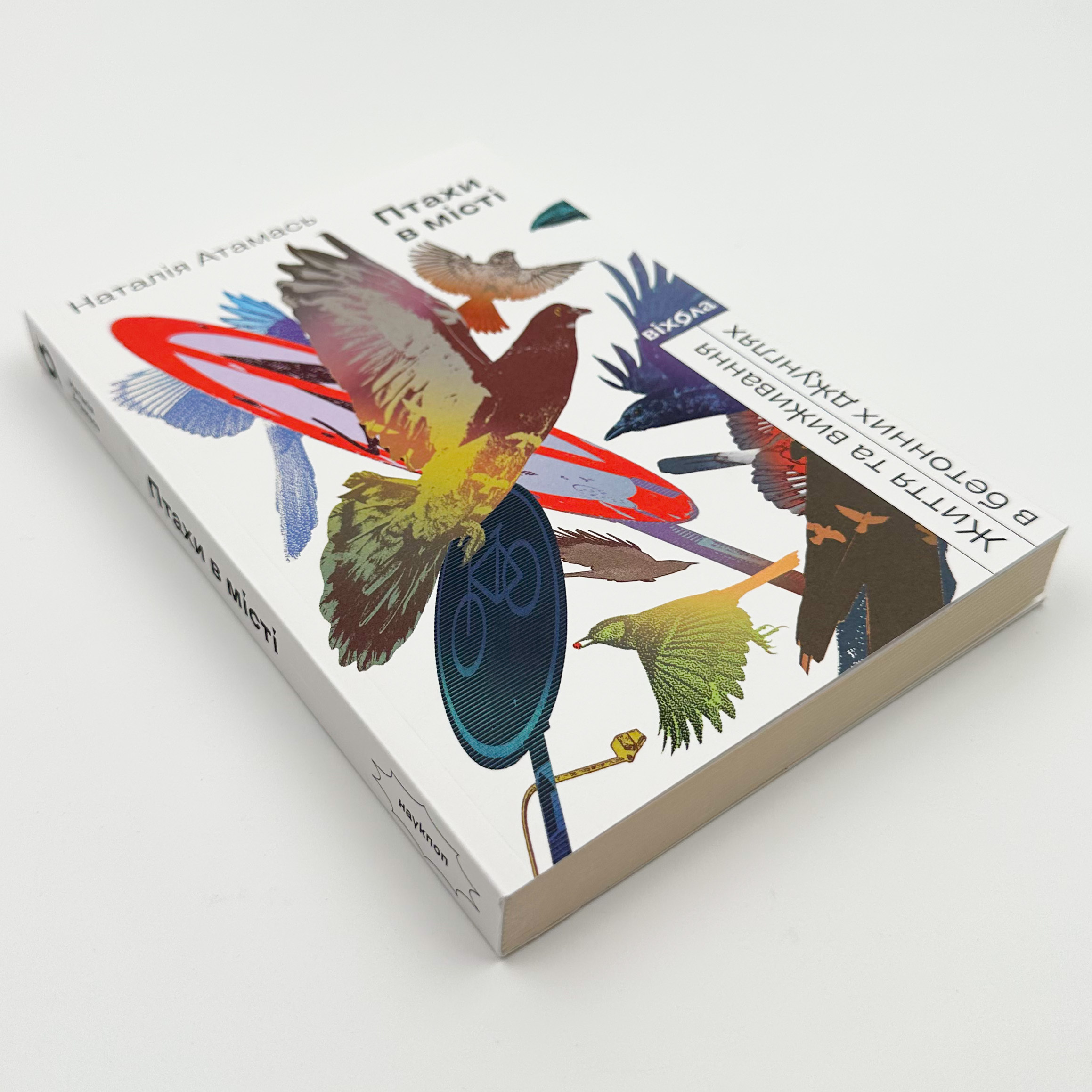 Птахи в місті. Життя та виживання в бетонних джунглях. Автор — Наталія Атамась. 