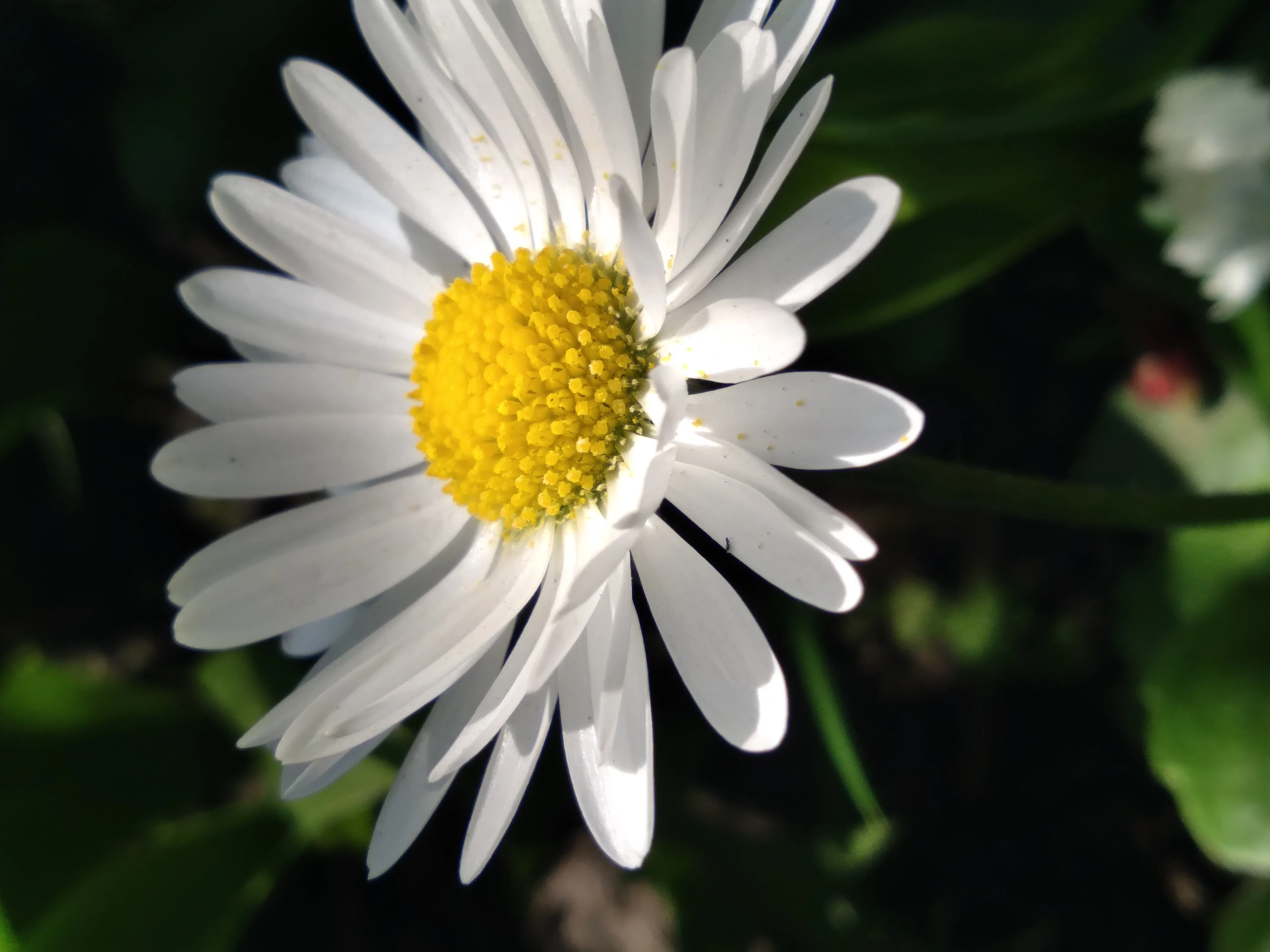 1 крок до мрії