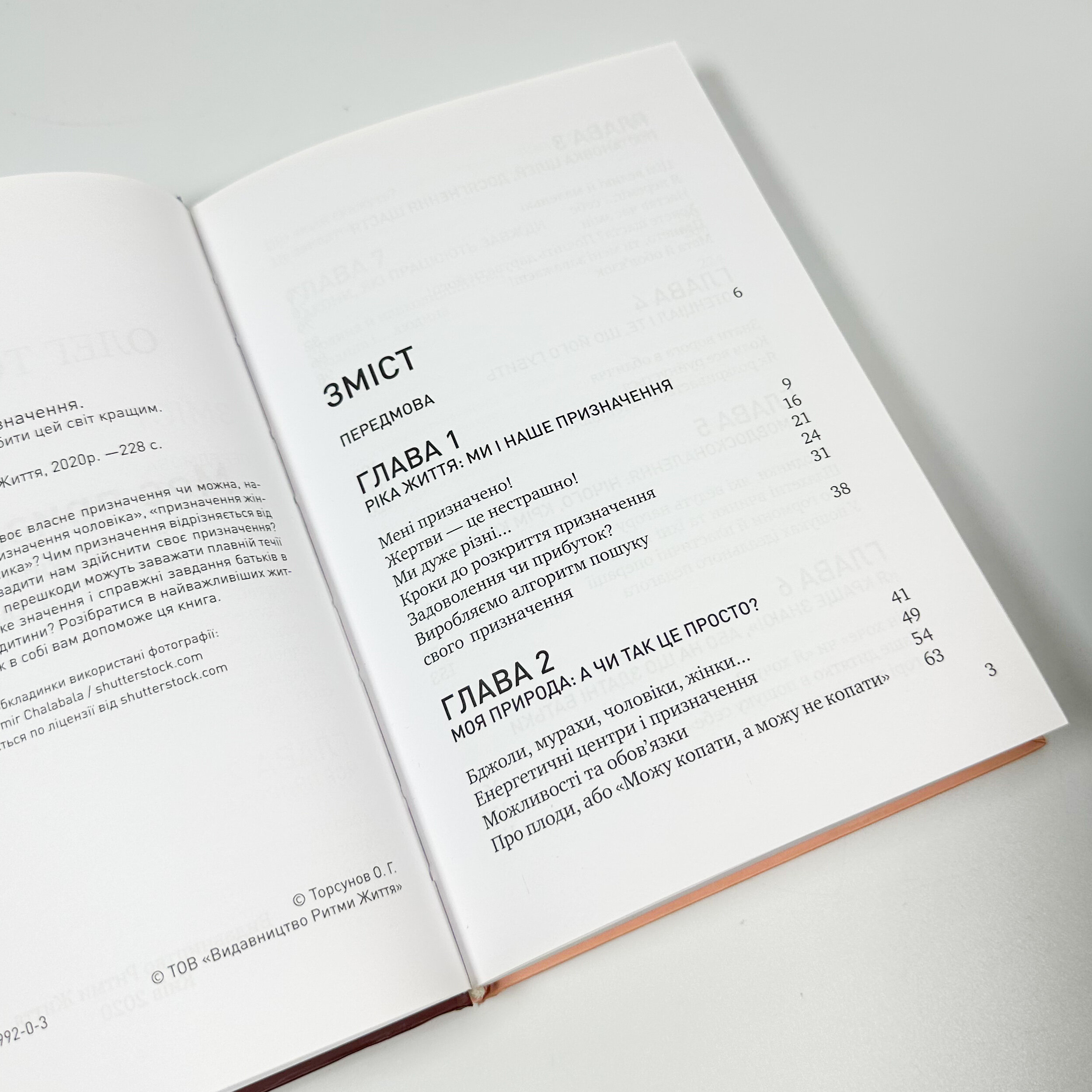 Моє призначення. Як заслужити більшого і зробити цей світ кращим