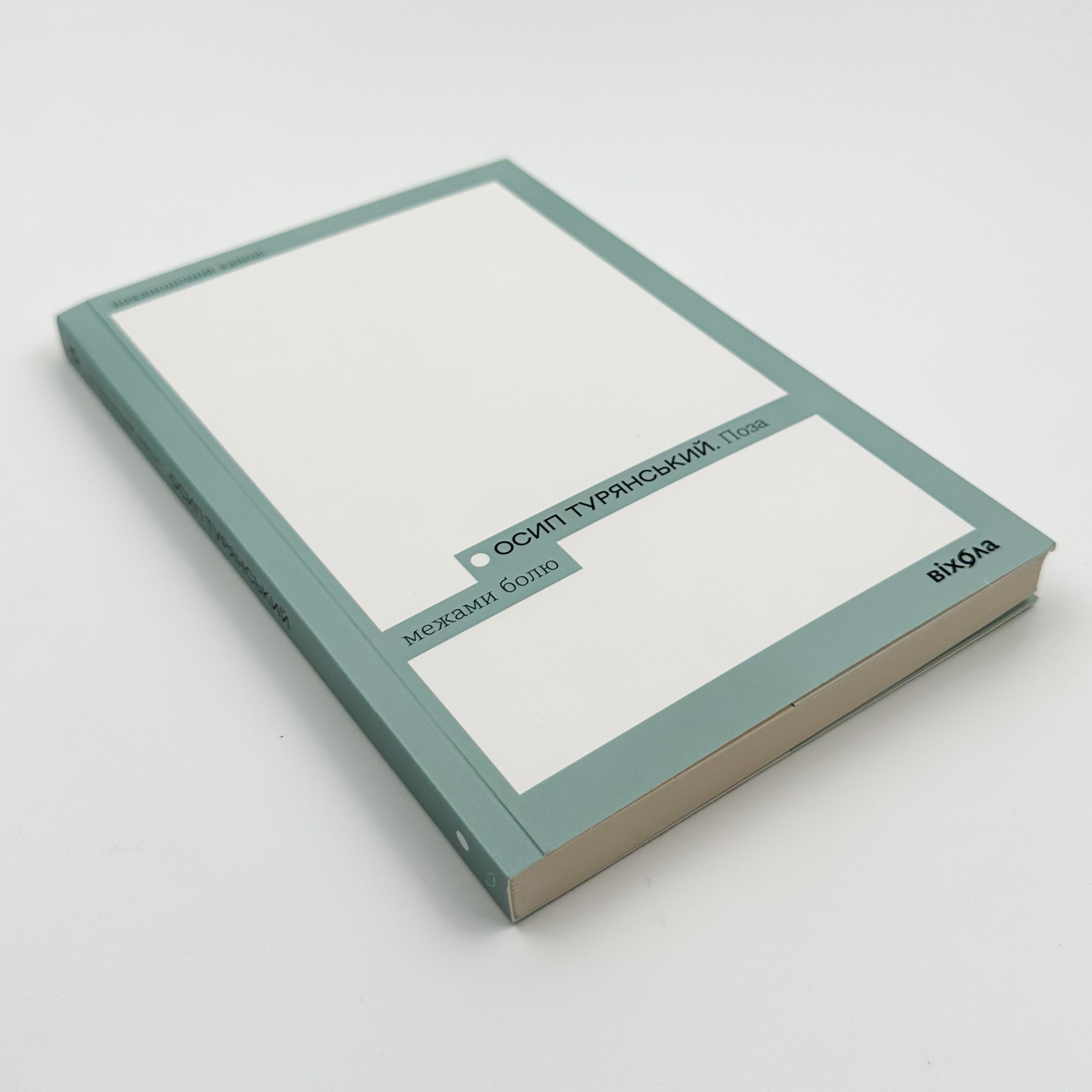 Поза межами болю