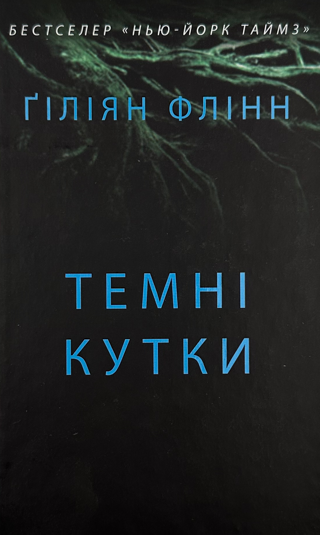Таємні кутки. Автор — Гиллиан Флинн. 