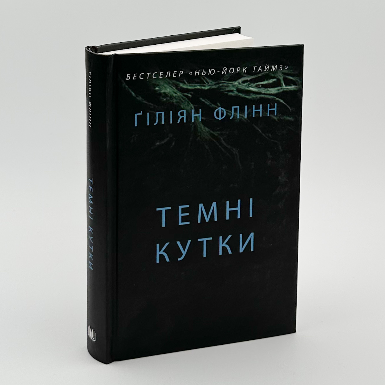 Таємні кутки. Автор — Гиллиан Флинн. 