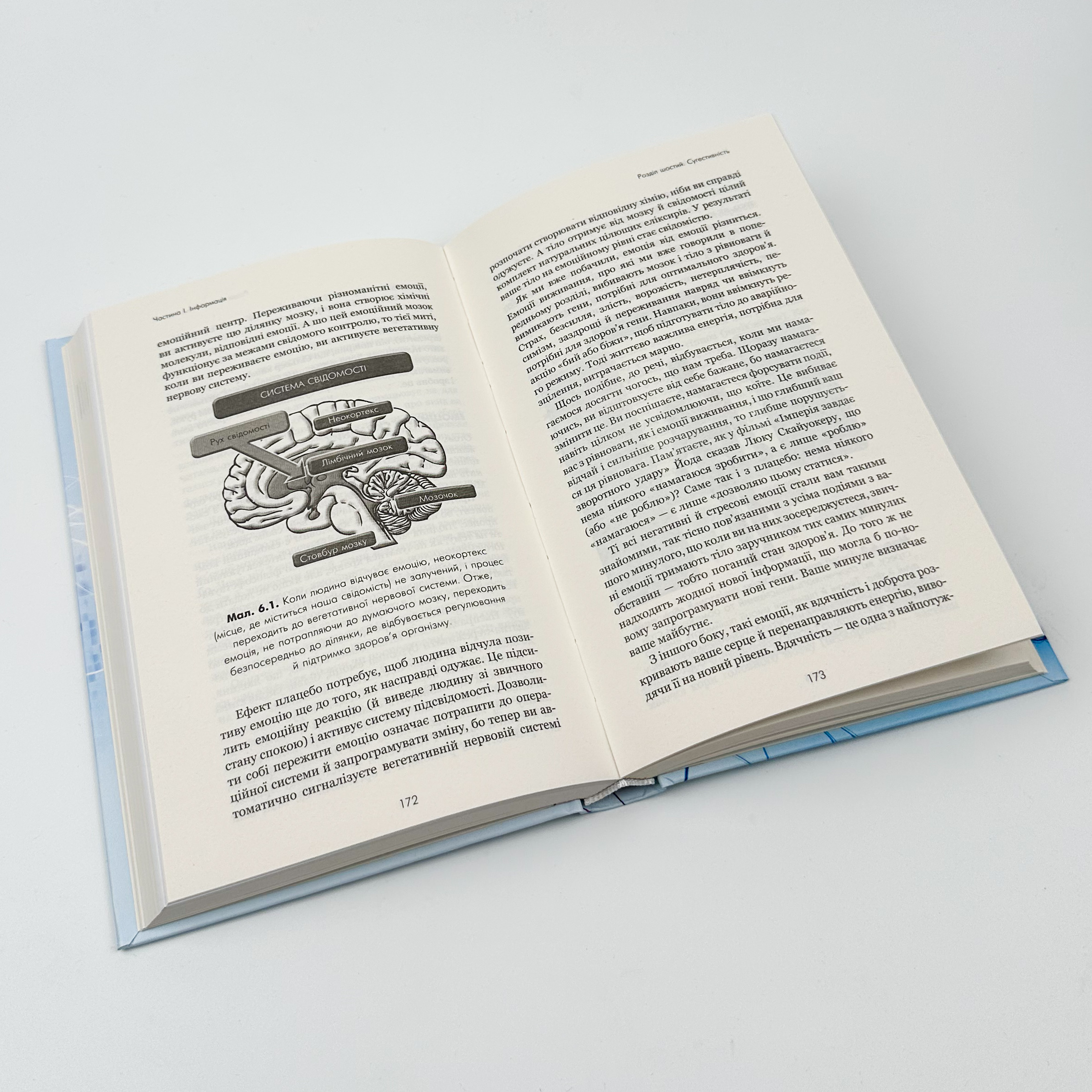 Ти сам собі плацебо. Перетвори свій розум на ліки. Автор — Джо Діспенза. 