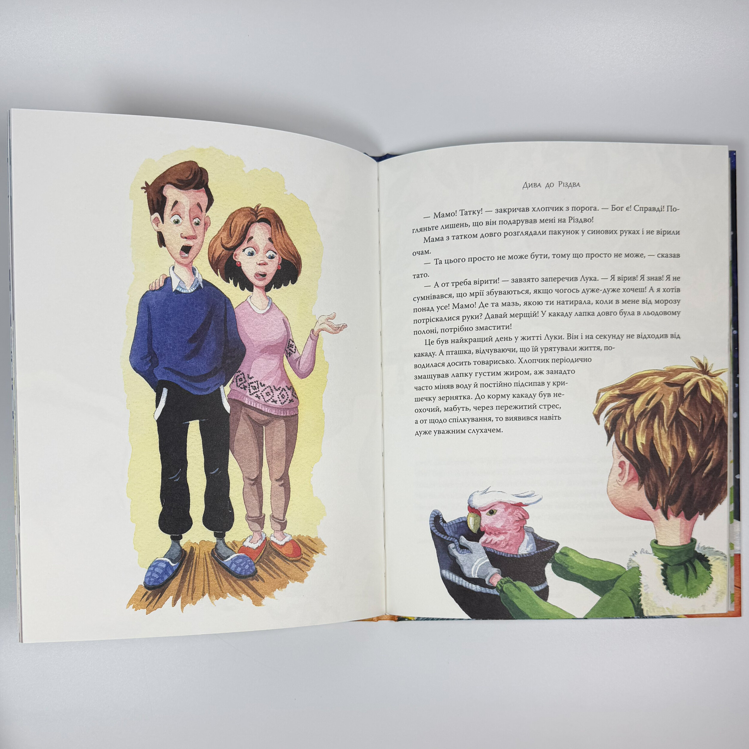 Дива до Різдва. Автор — Олеся Антонова. 