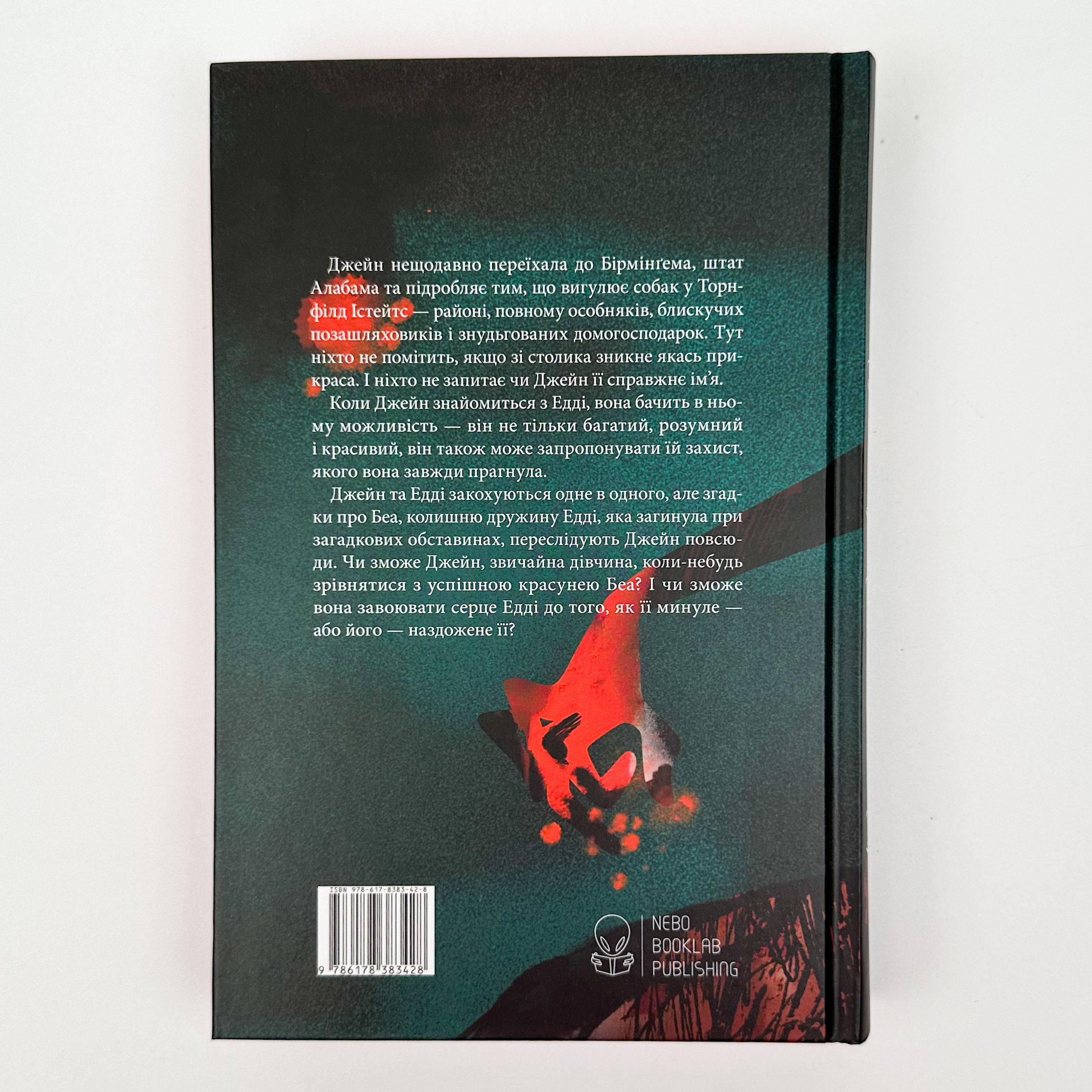 Дружина із горішнього поверху. Автор — Рейчел Гокінс. 