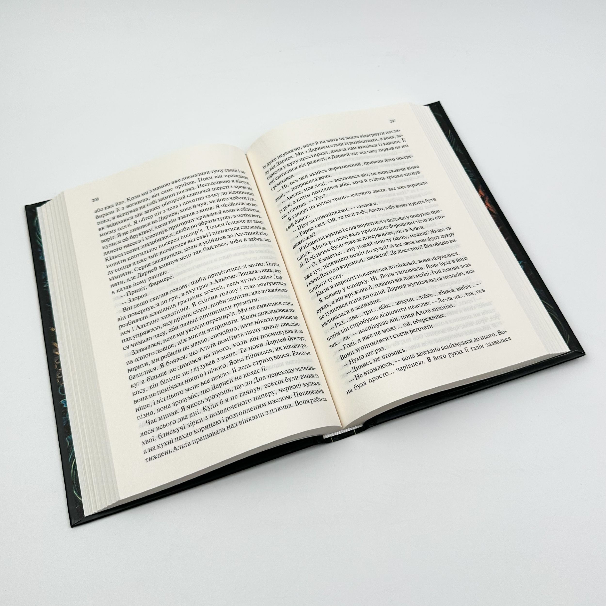 Палітурник. Автор — Бріджит Коллінз. 