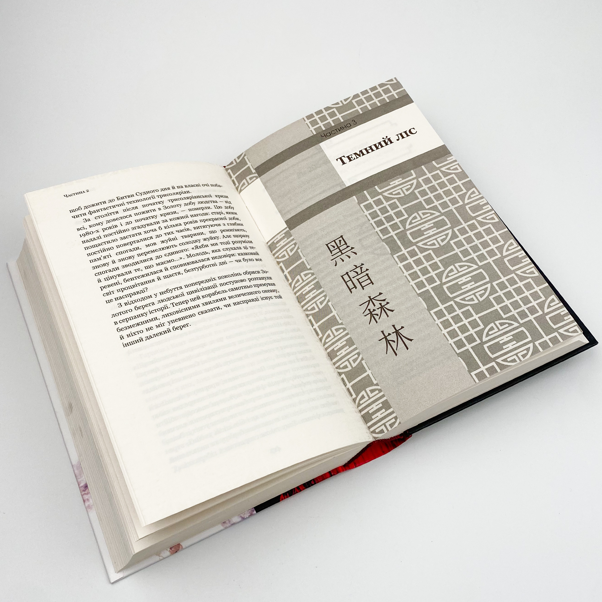 Темний ліс. Автор — Лю Цисінь. 