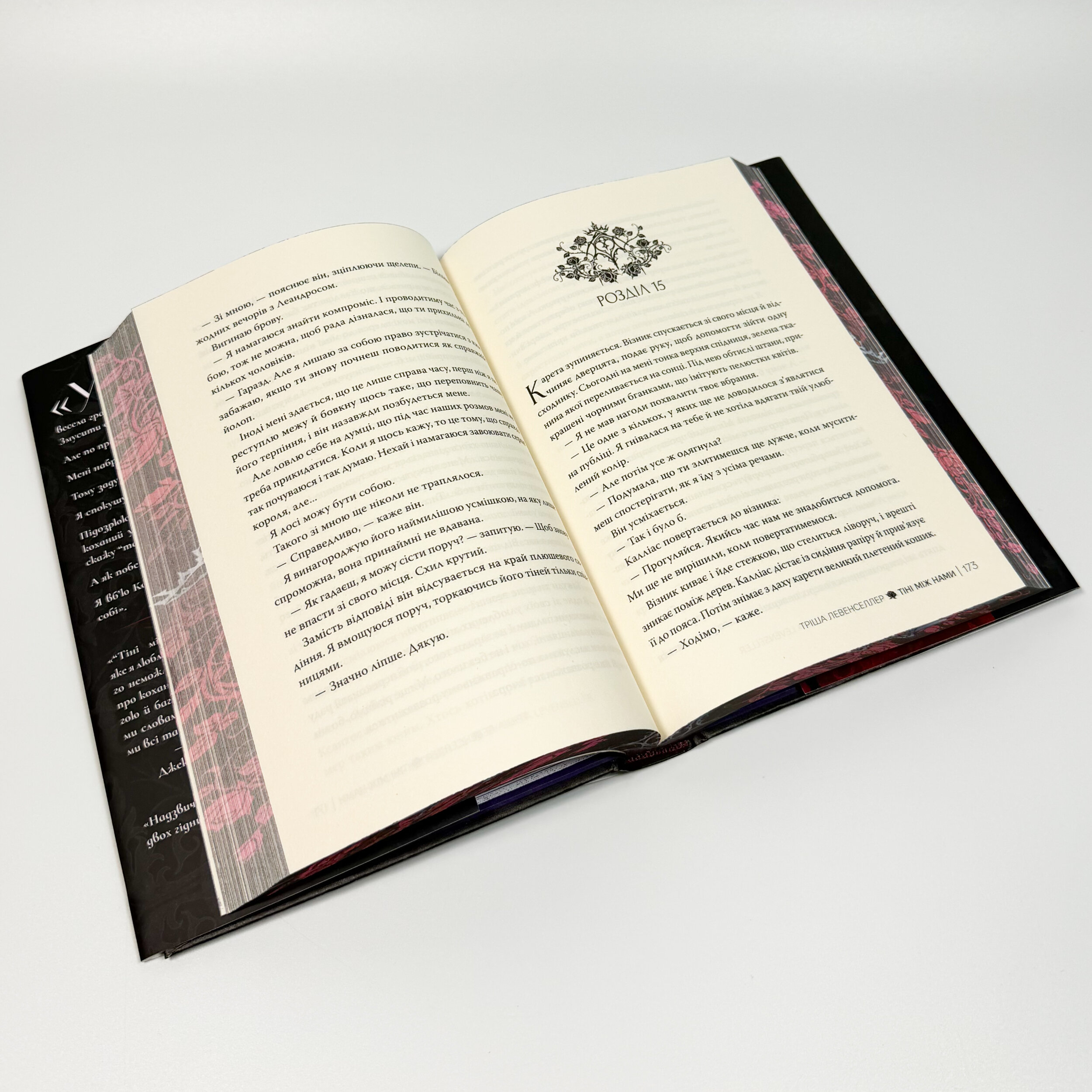 Тіні між нами. Автор — Тріша Левенселлер. 