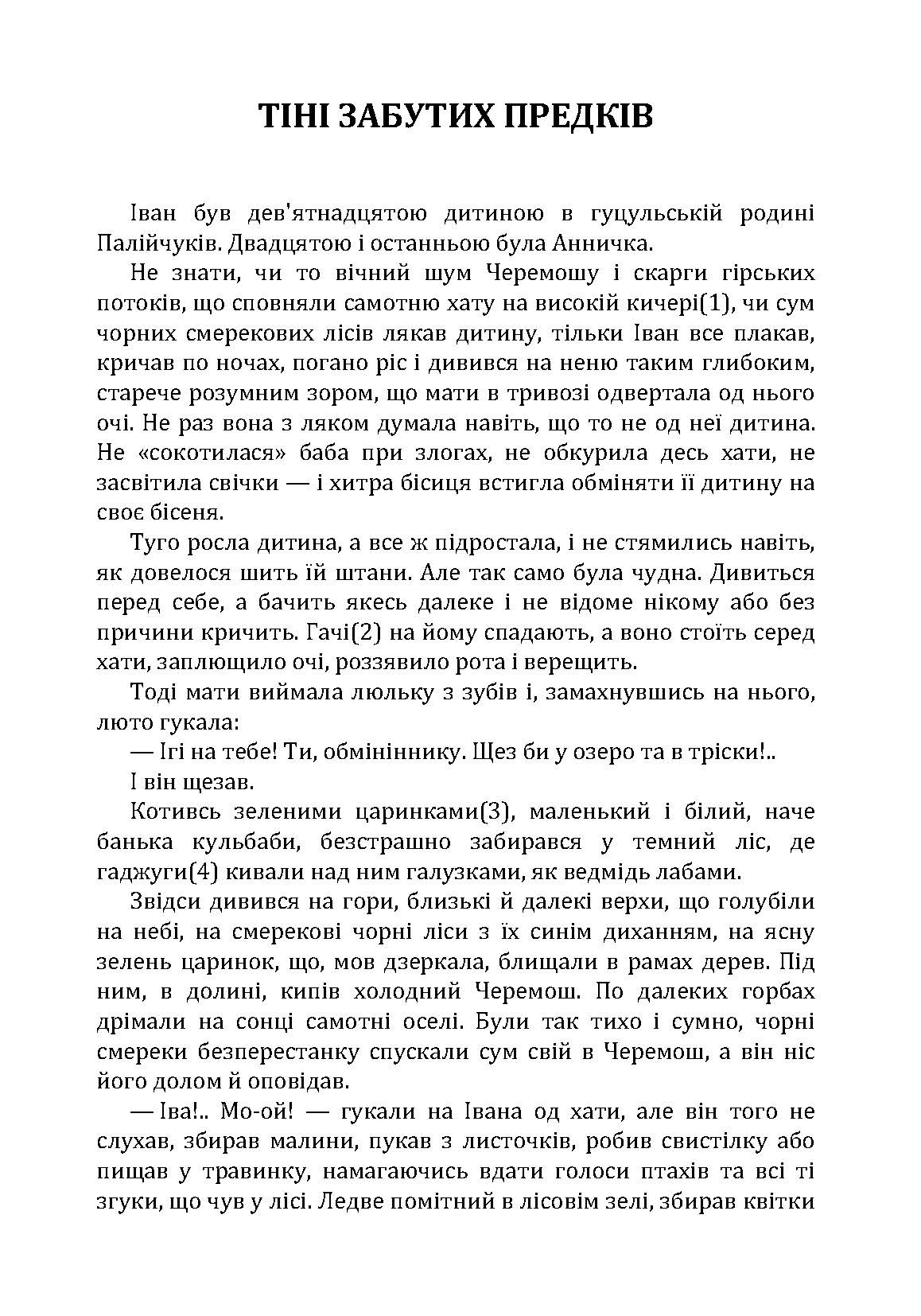 Тіні забутих предків. Intermezzo