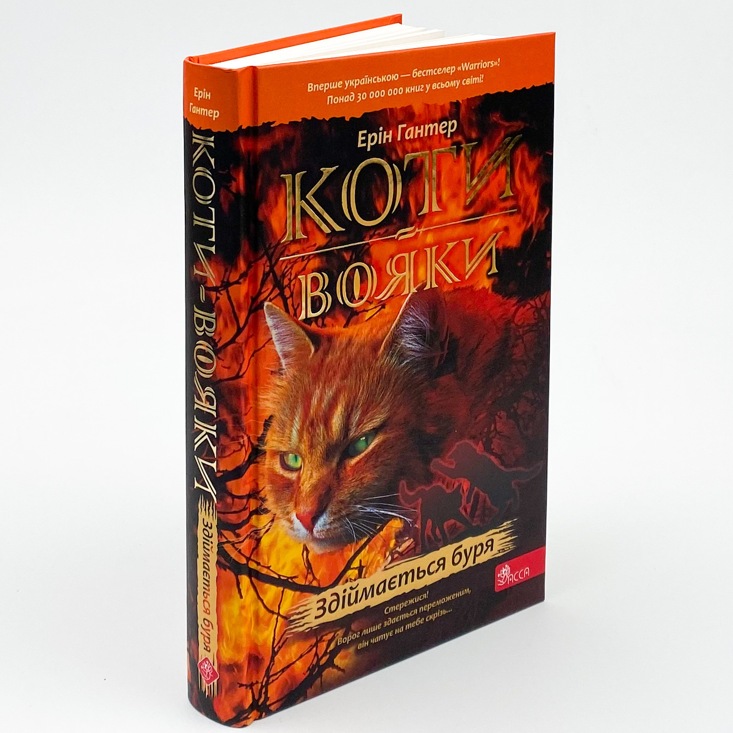 Коти-вояки. Книга 4. Здіймається буря. Автор — Ерін Гантер. 