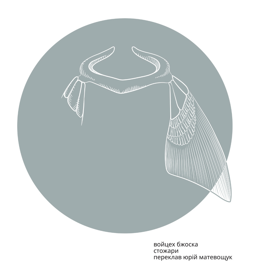 Войцех Бжоска. Стожари. Автор — Войцех Бжоска