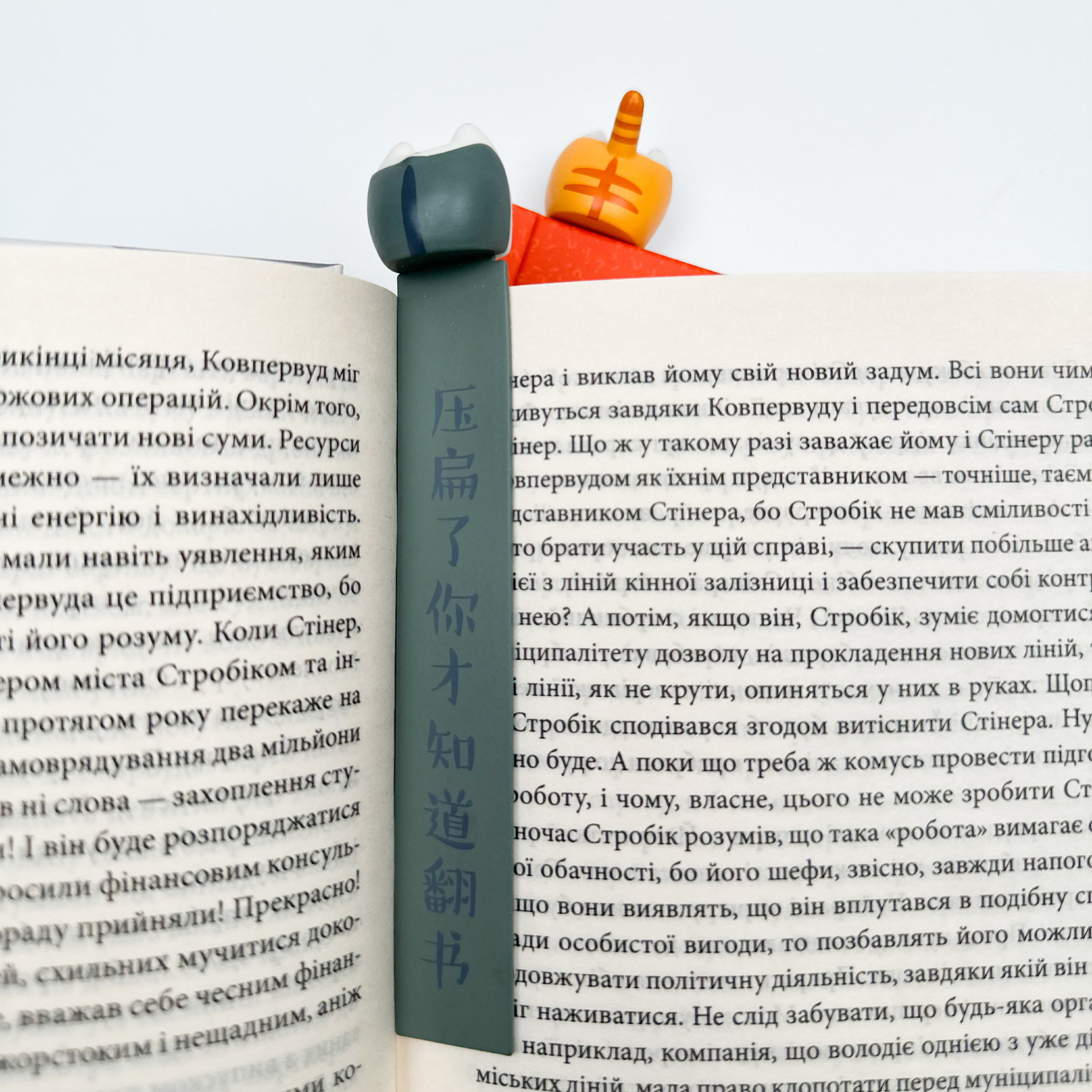 Книжкова закладка "Дупця". . 