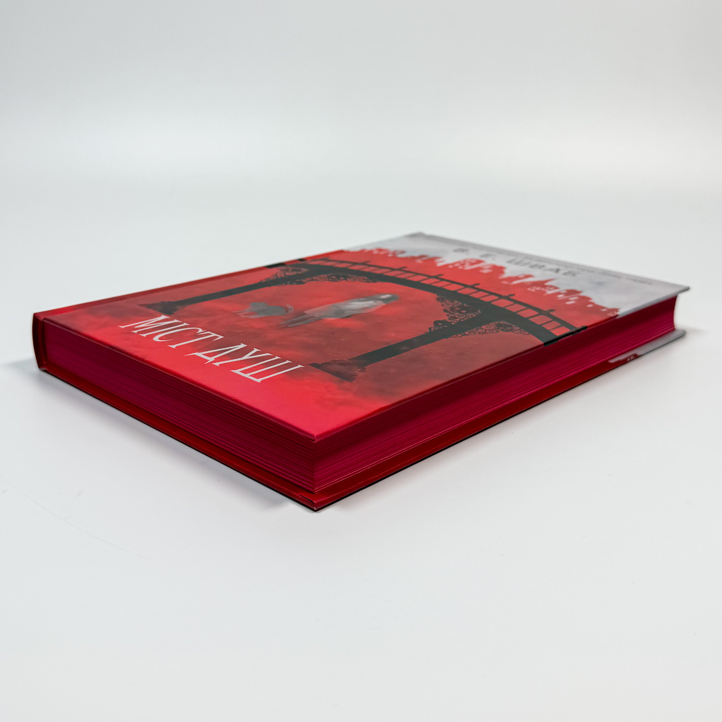 Міст душ. Автор — Вікторія Шваб. 