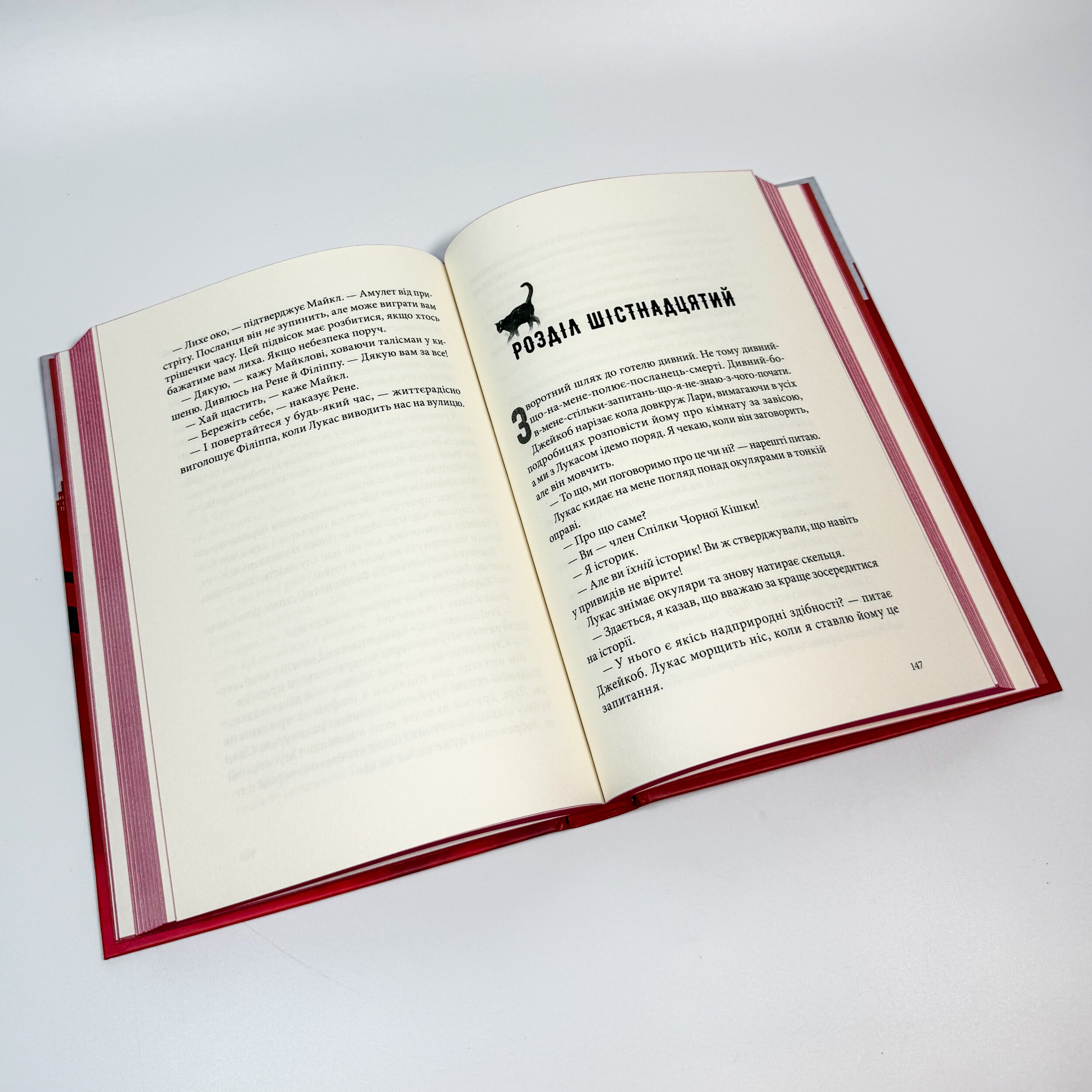 Міст душ. Автор — Вікторія Шваб. 