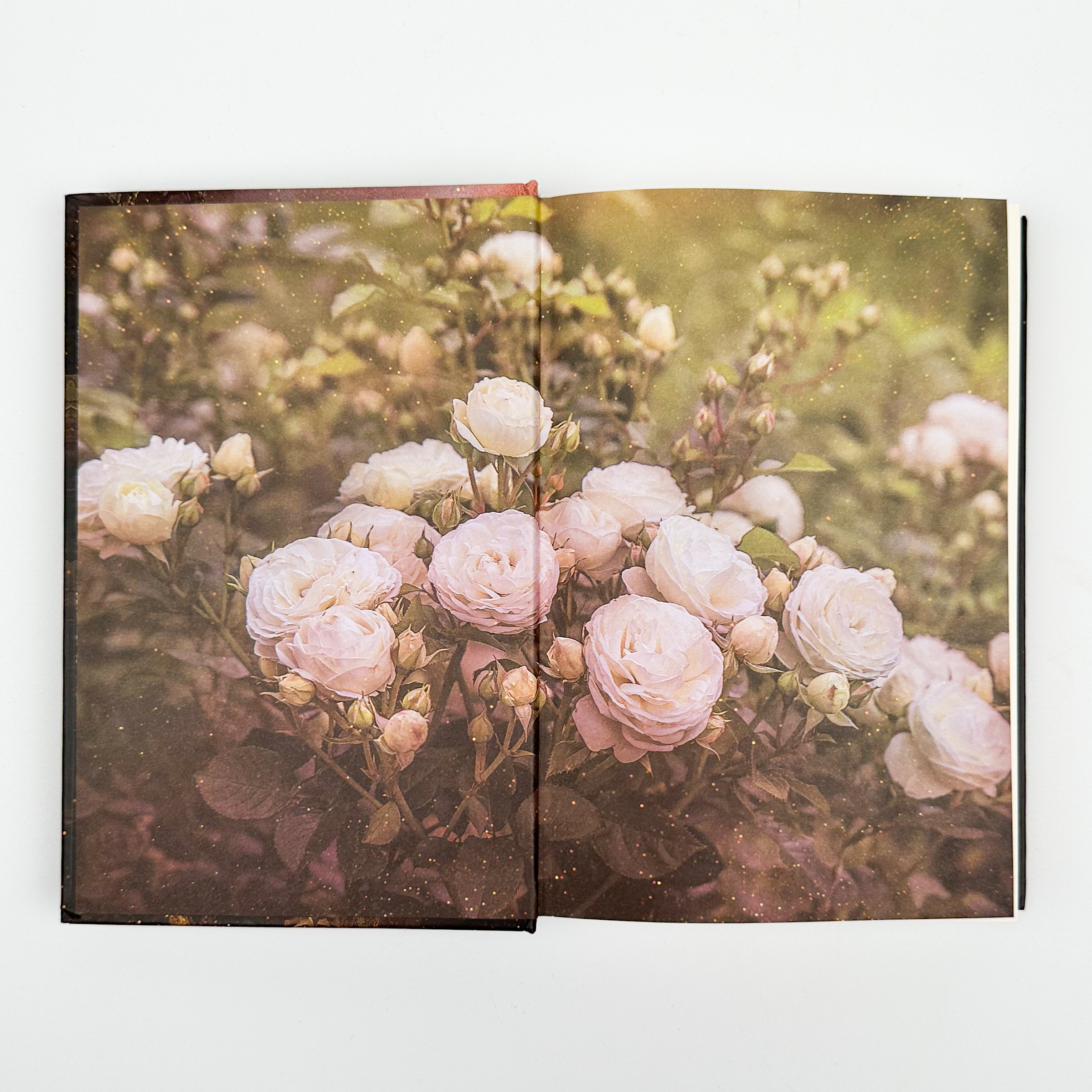 Єлизавета Йоркська. Остання Біла троянда. Автор — Элисон Уэйр. 